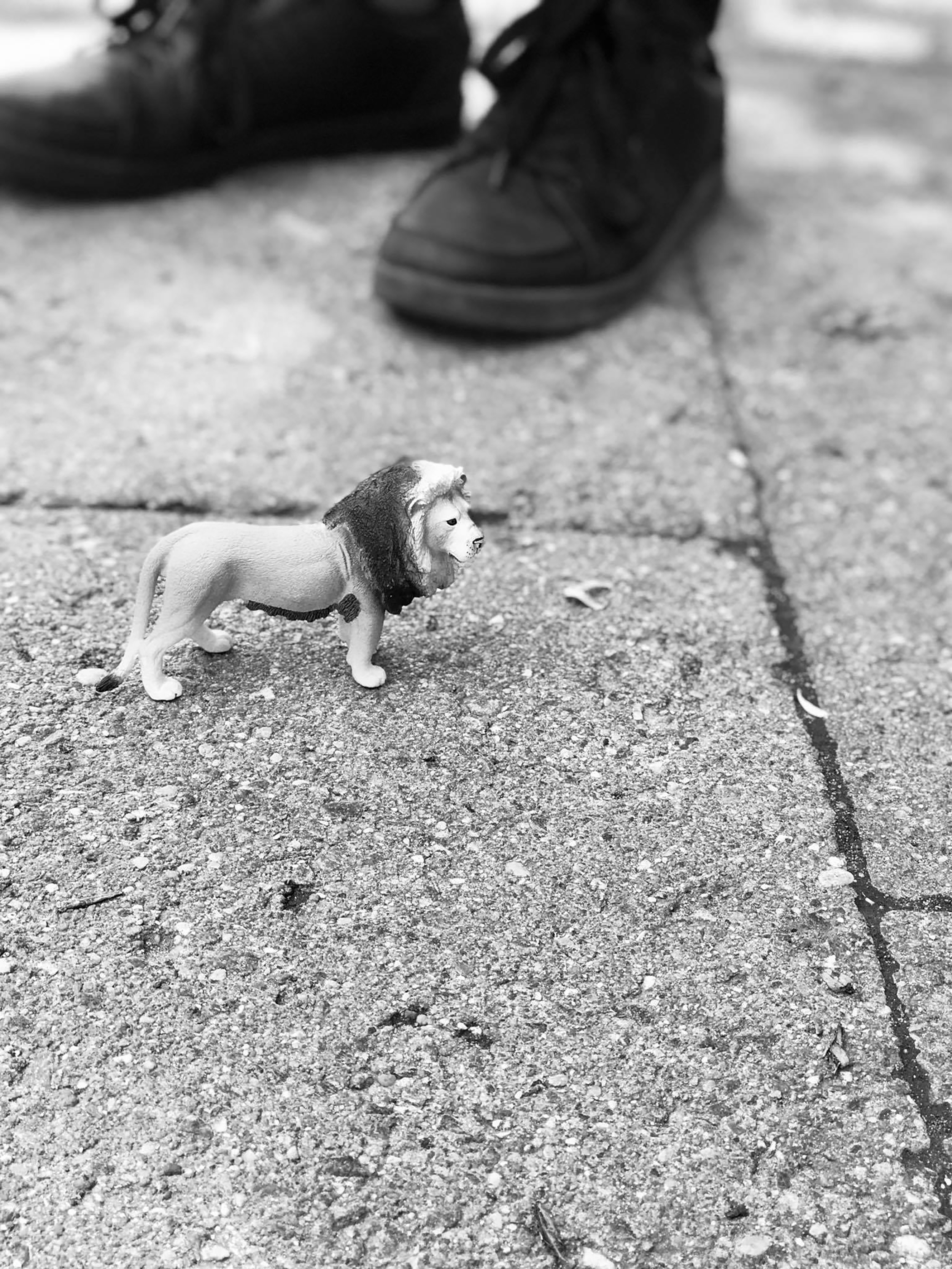 Pierre et le lion