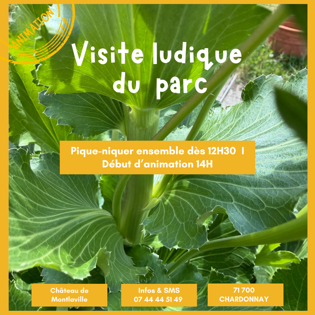 Média additionnel 1