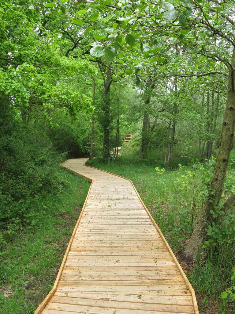 Platelage_maraisMontceauxEtoile©CD71