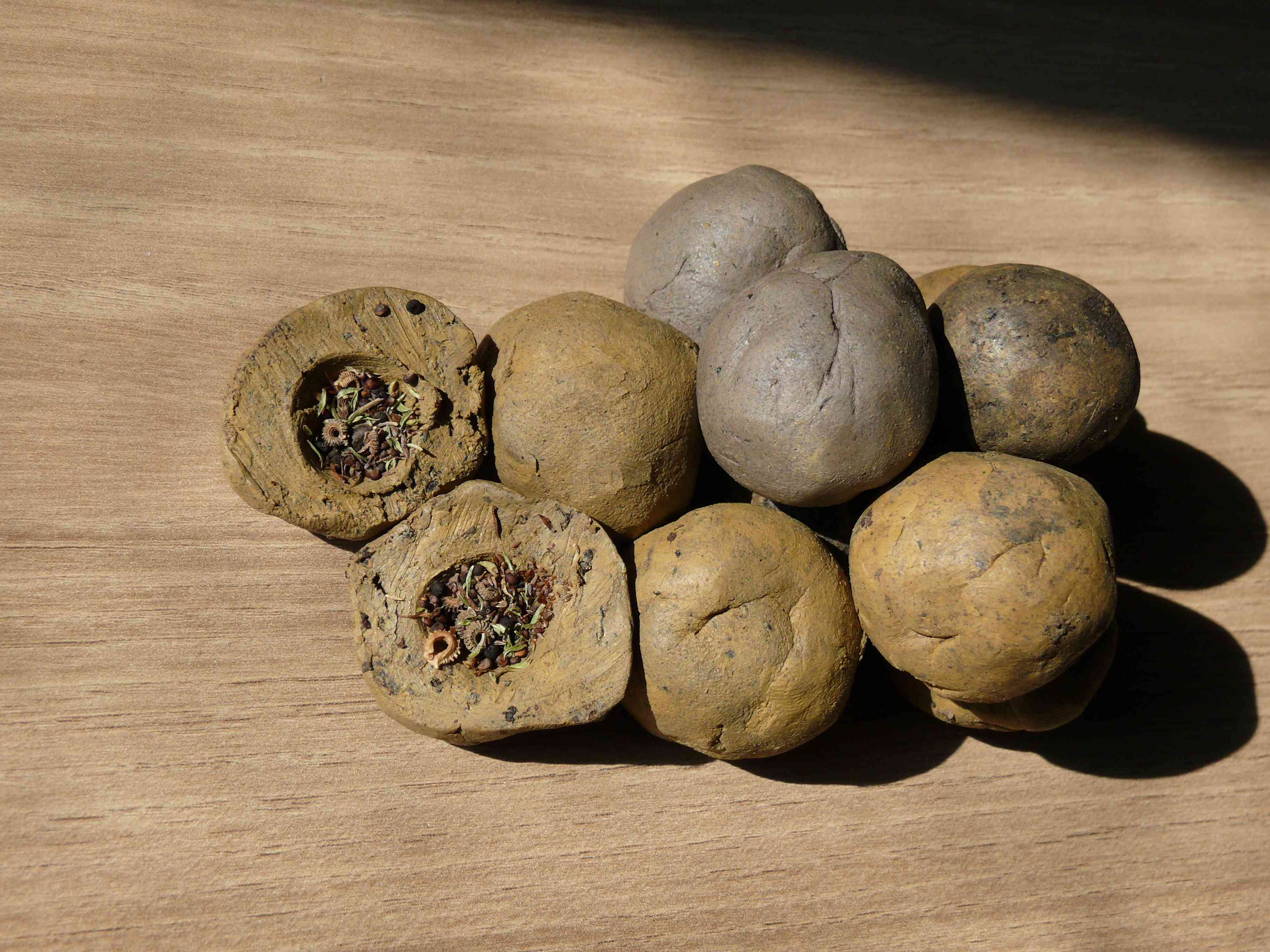 Prends en de la graine