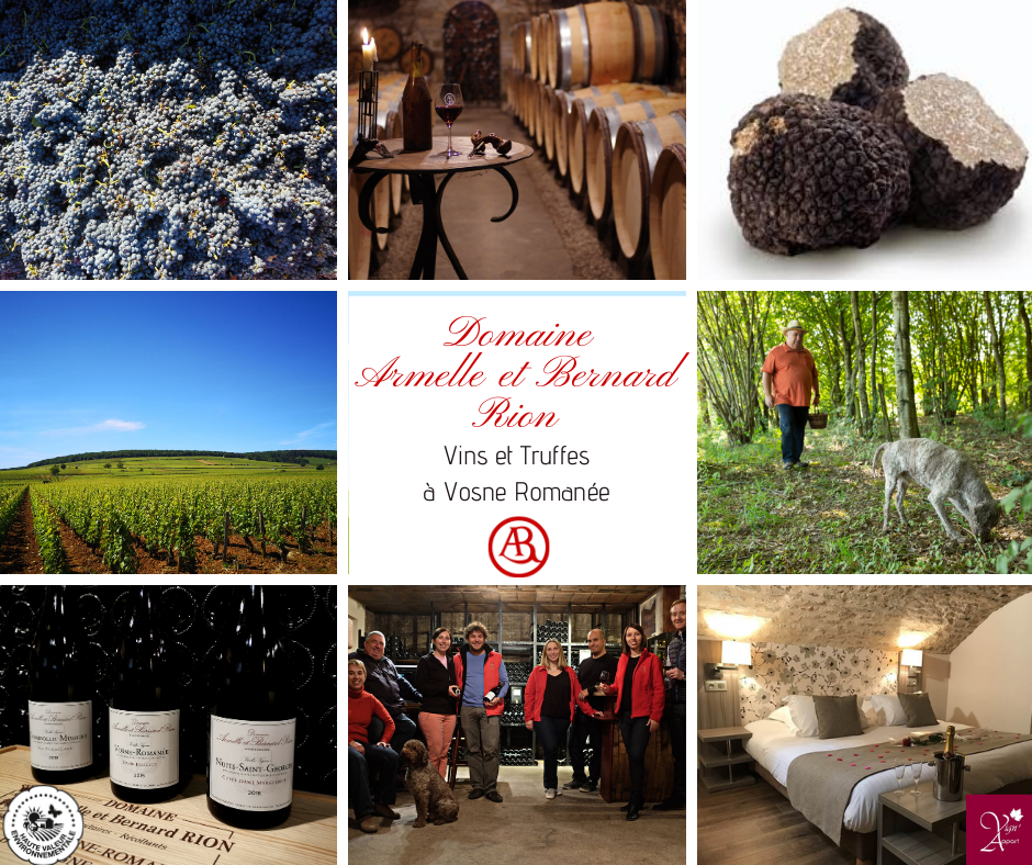 Présentation Domaine Rion