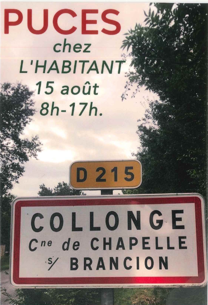 Puces chez l'habitant