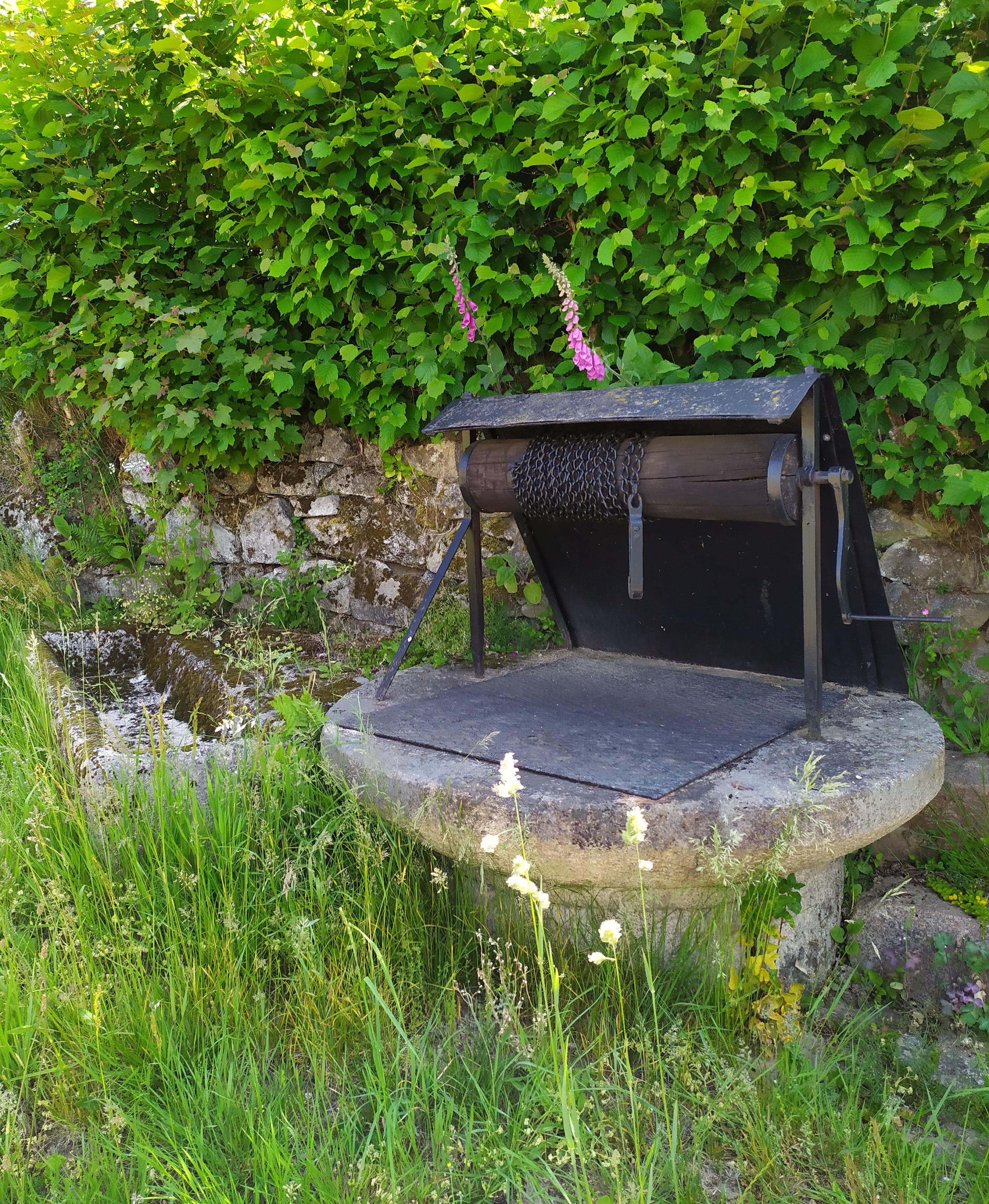 Balade commentée sur le sentier de la Maison des Hommes et des Paysages