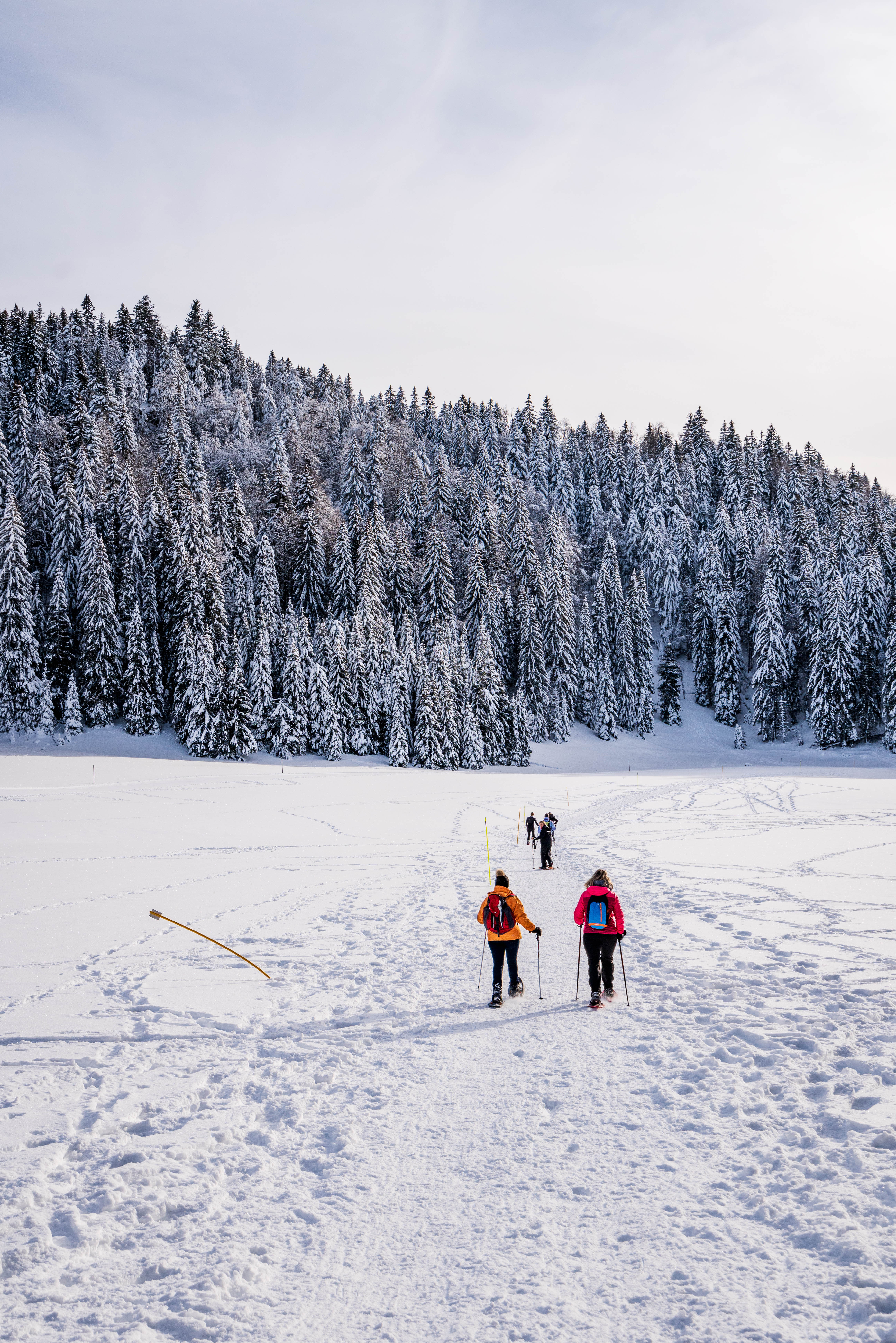 Office de Tourisme Haut-Jura Saint-Claude - Les Bouchoux
