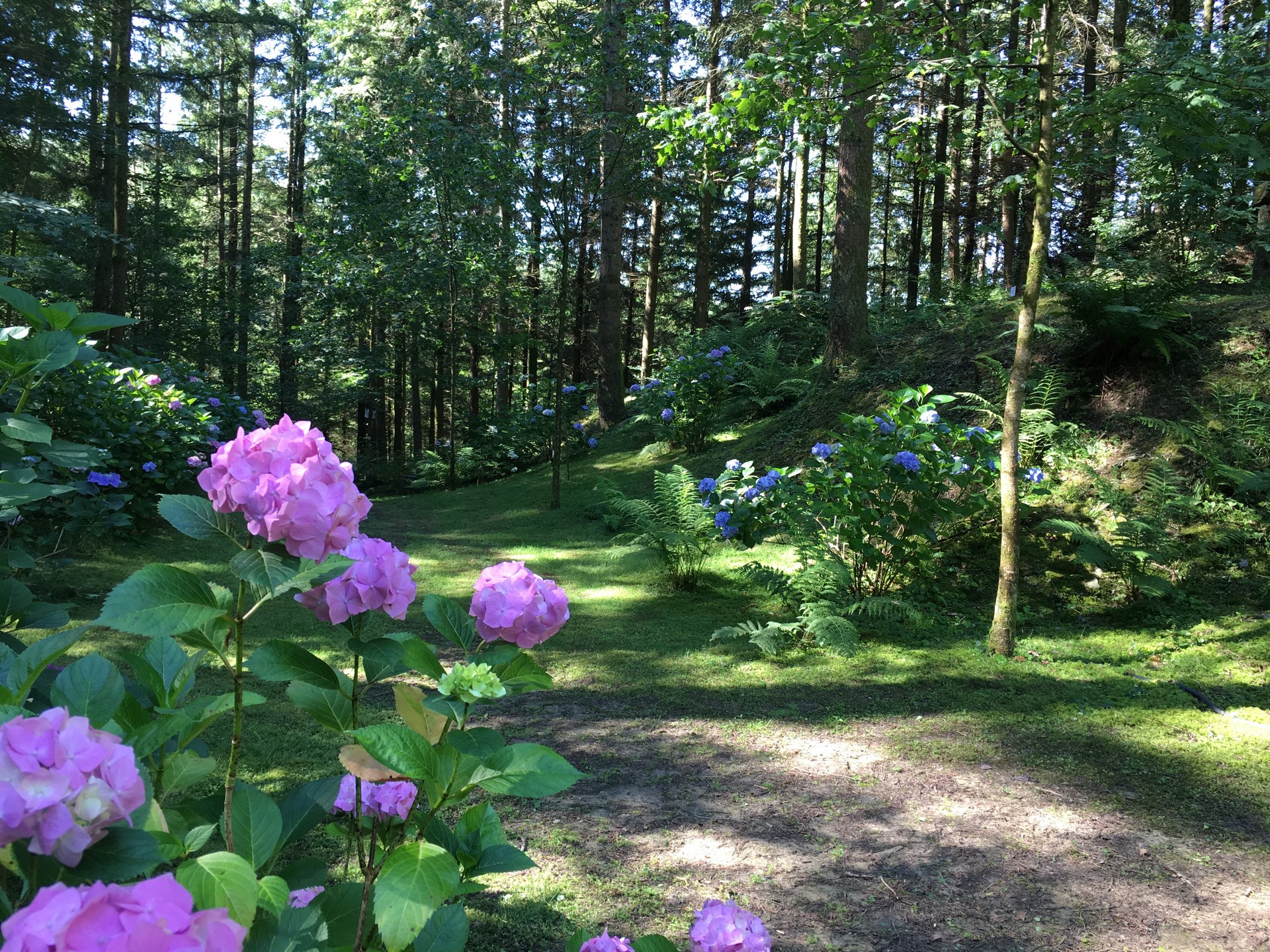 Rendez-vous au jardin : Parc à l'anglaise de la Cude
