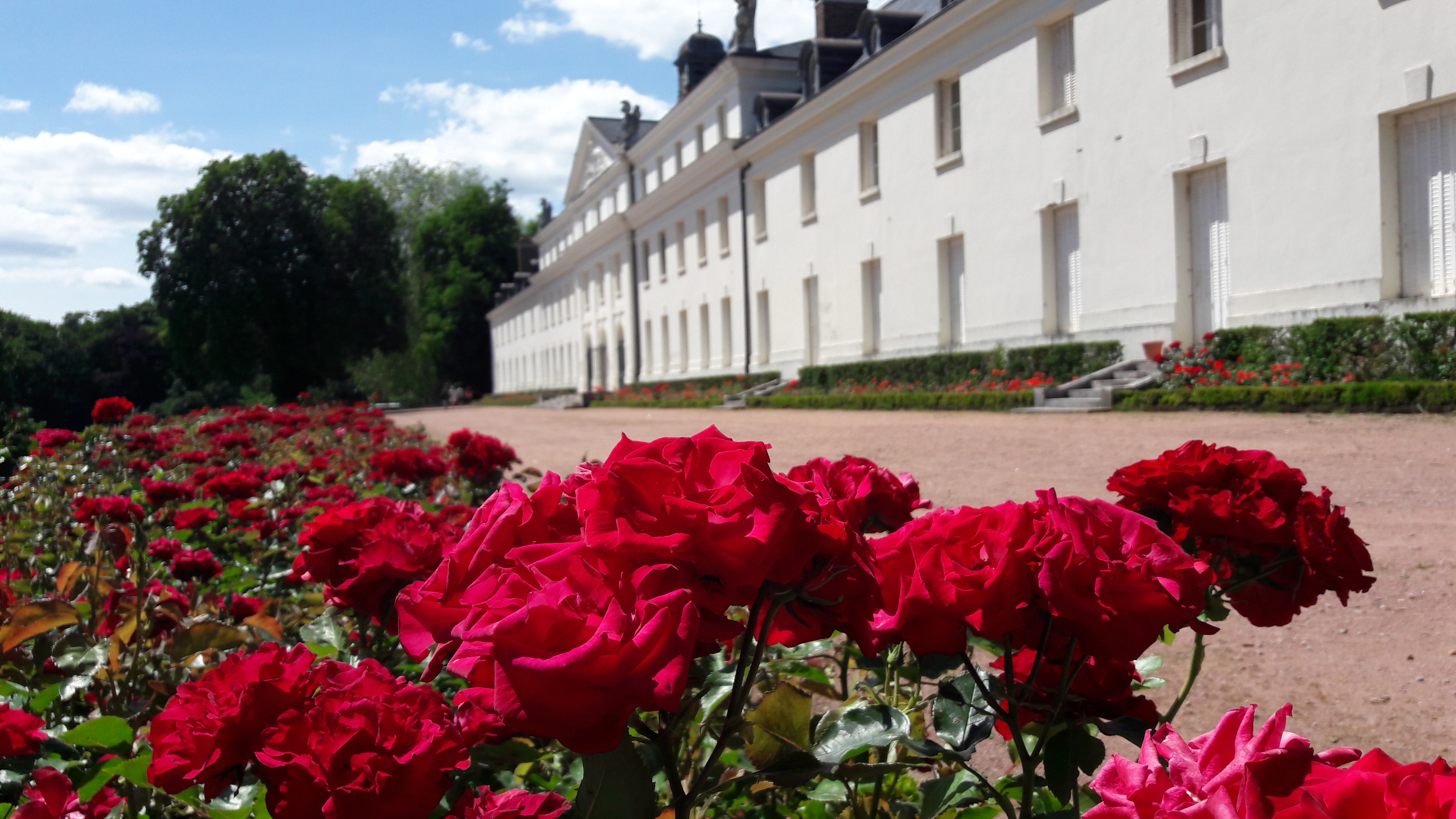 Terrasses du château de la Verrerie, Le Creusot