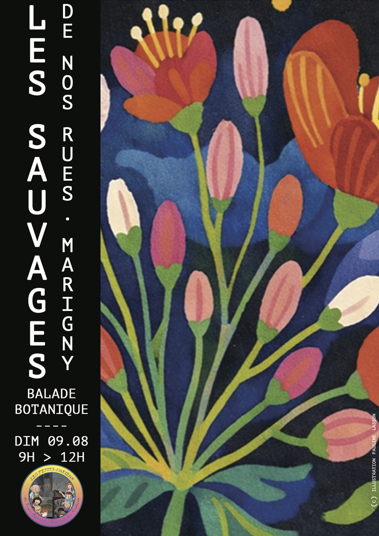 LES SAUVAGES DE NOS RUES