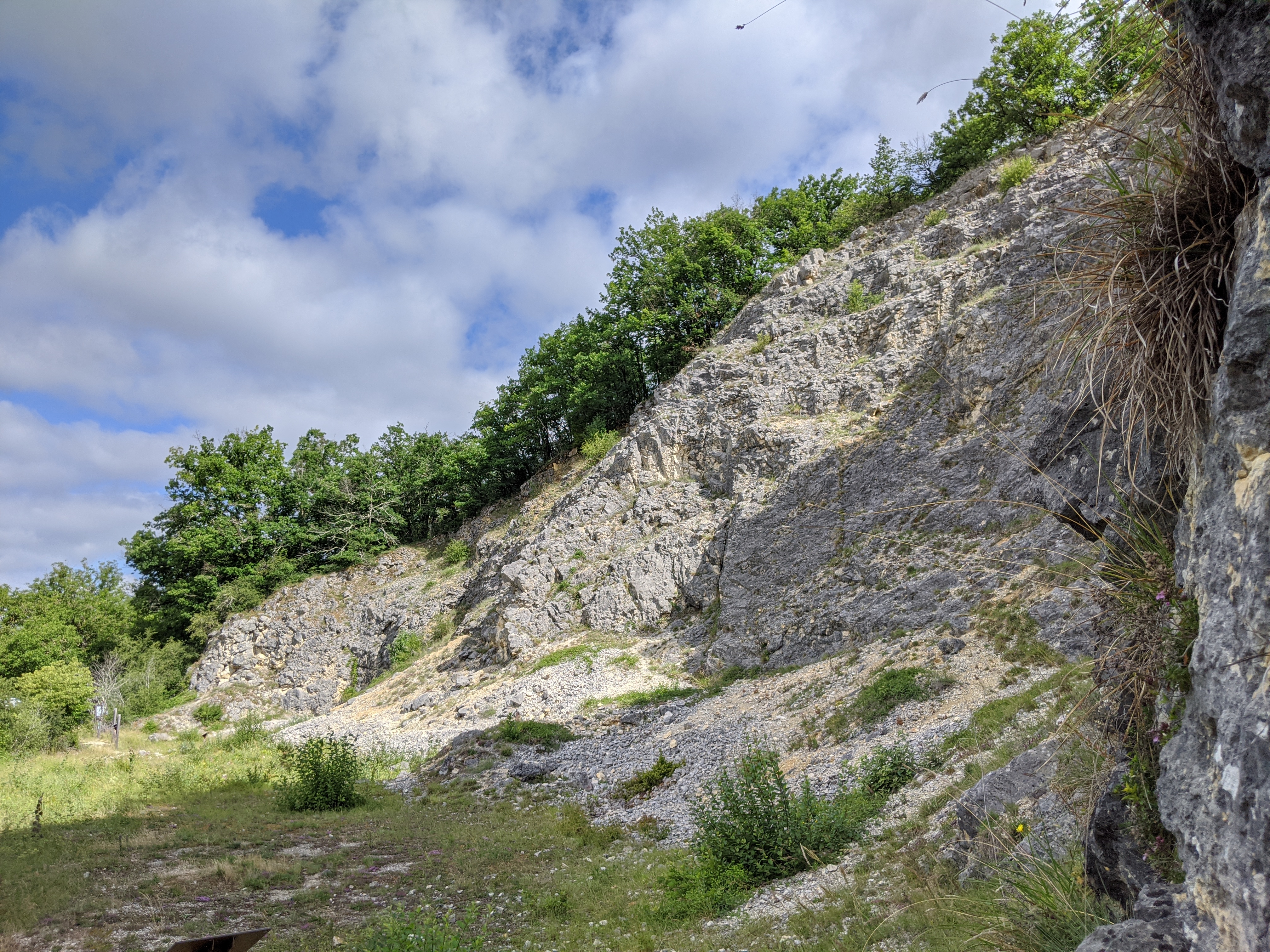 RNNBDP - Bois du Parc - O Girard - 25