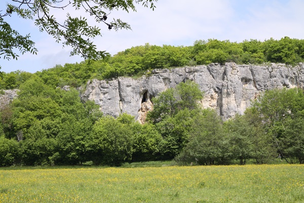 RNNBDP- Falaises-Mélanie Paris - CEN Bourgogne