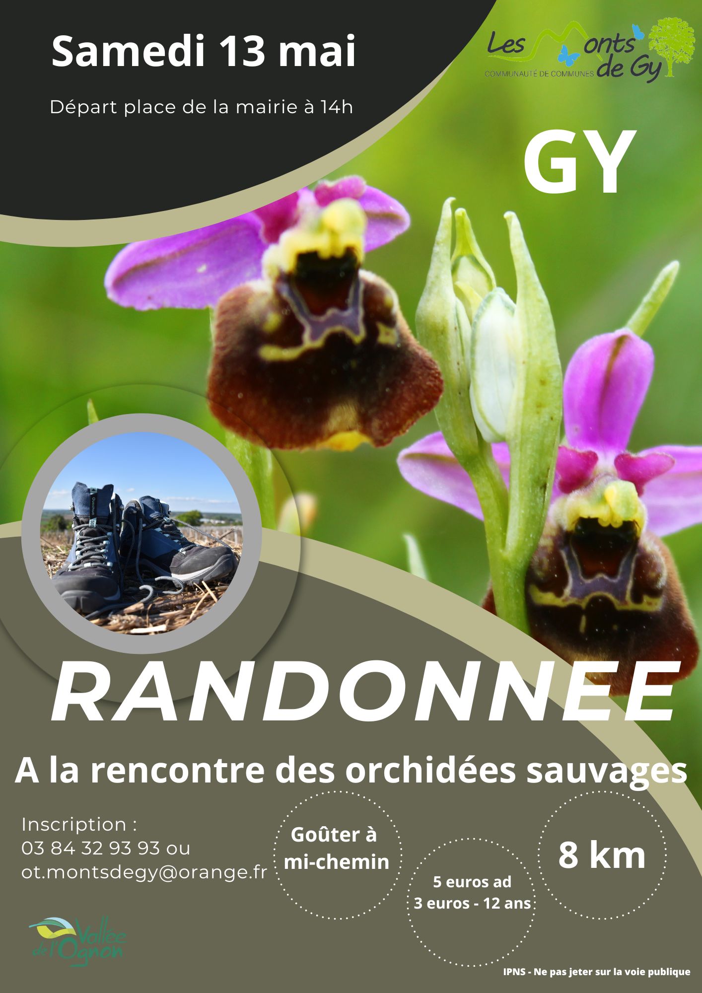 Rando des orchidées sauvages - 1