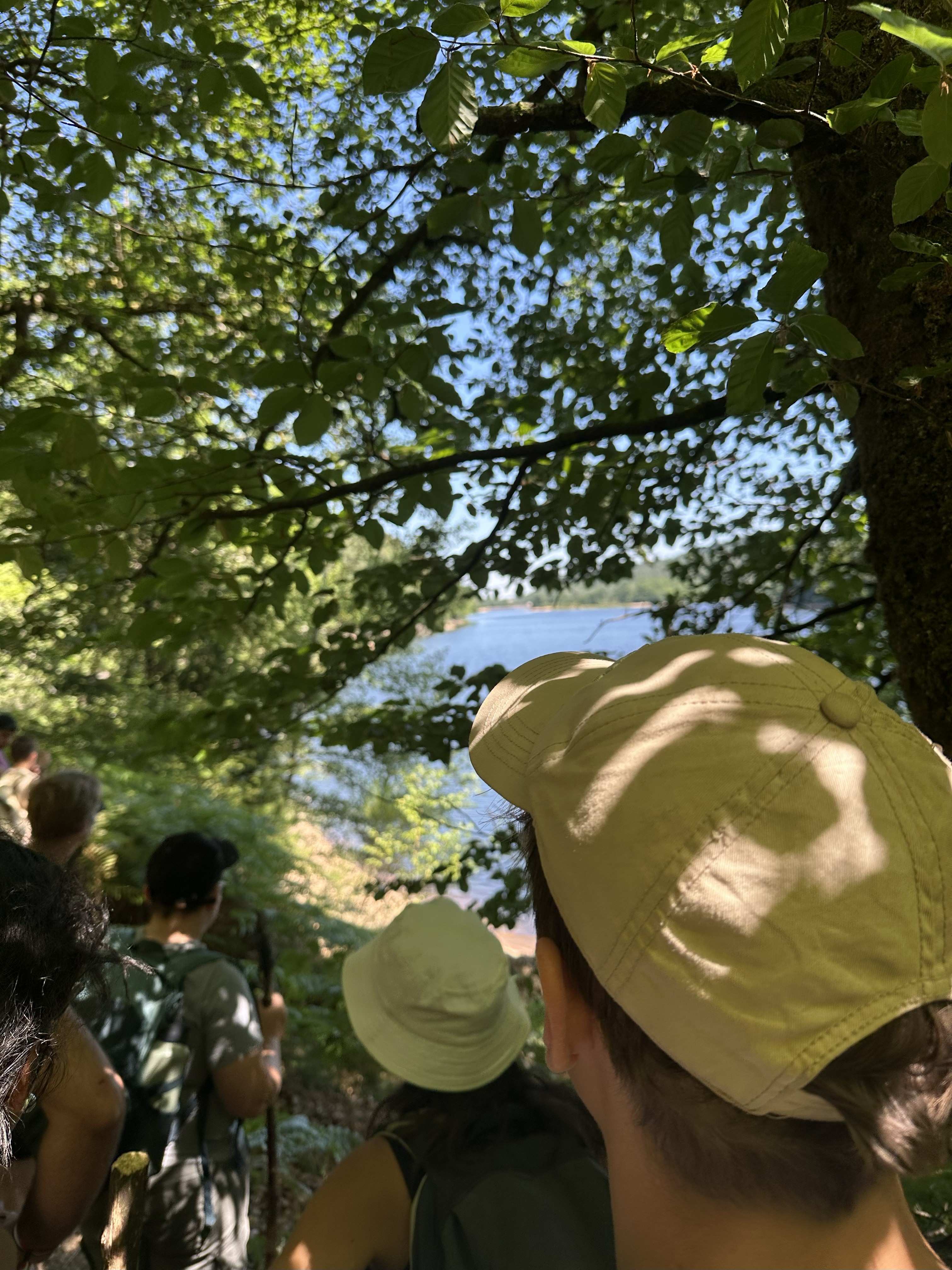 JOURNEE AVENTURE EN MORVAN