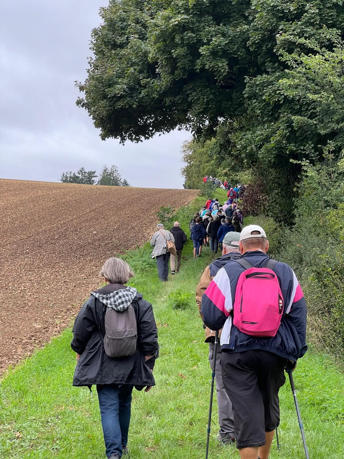 Randonnée sur le thème de la forêt