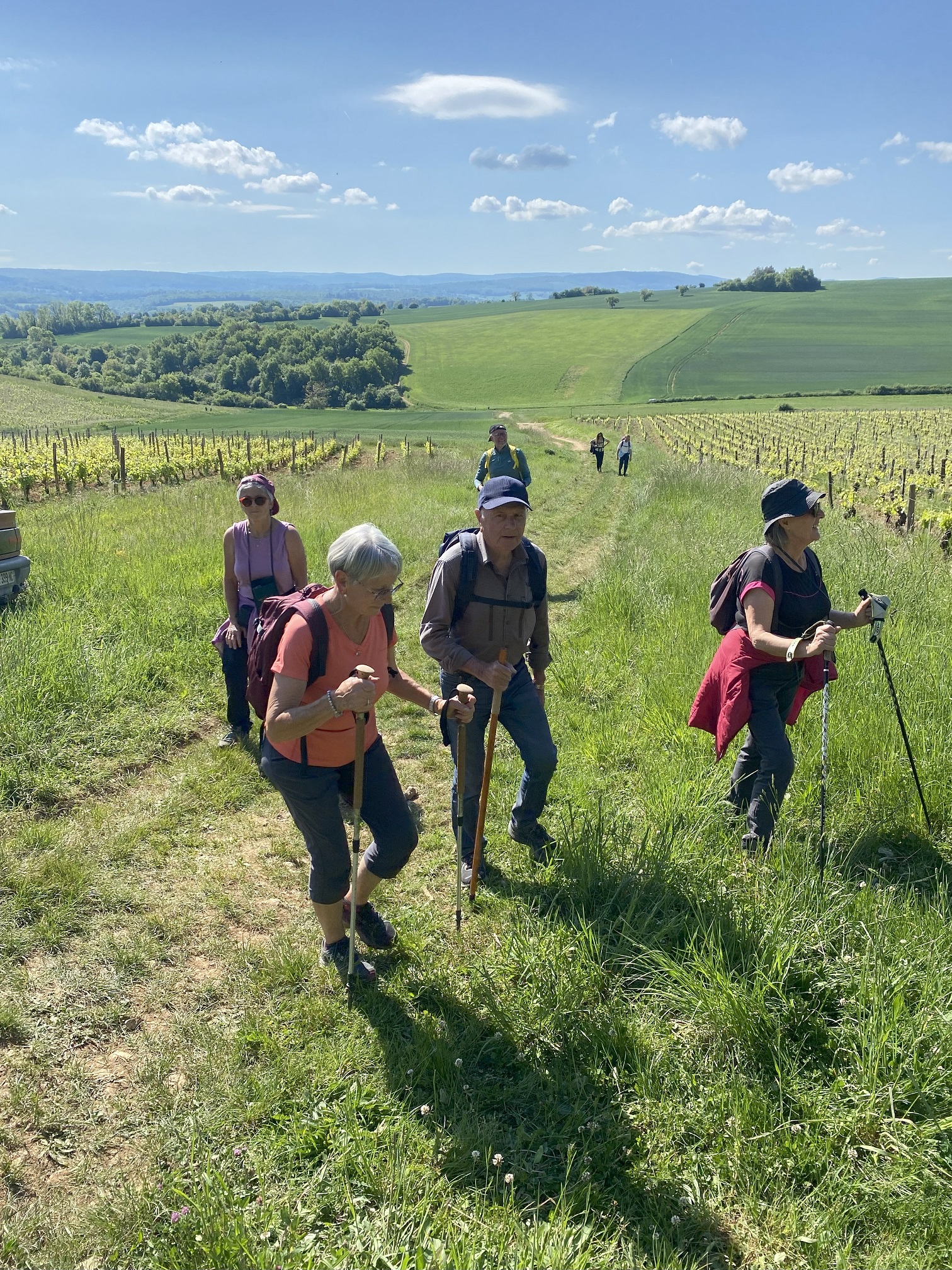Balade des Vins de Vézelay 2026