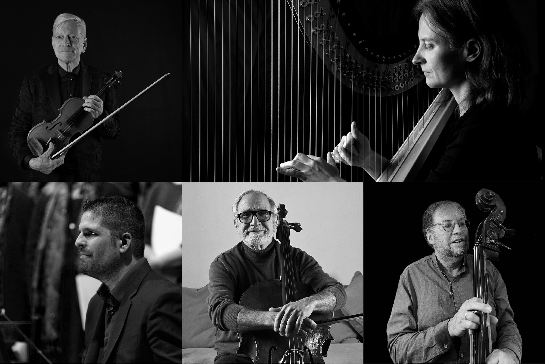 Résonance, au coeur de l'arbre, Concert harpe, violoncelle, orgue, contrebasse, violon.