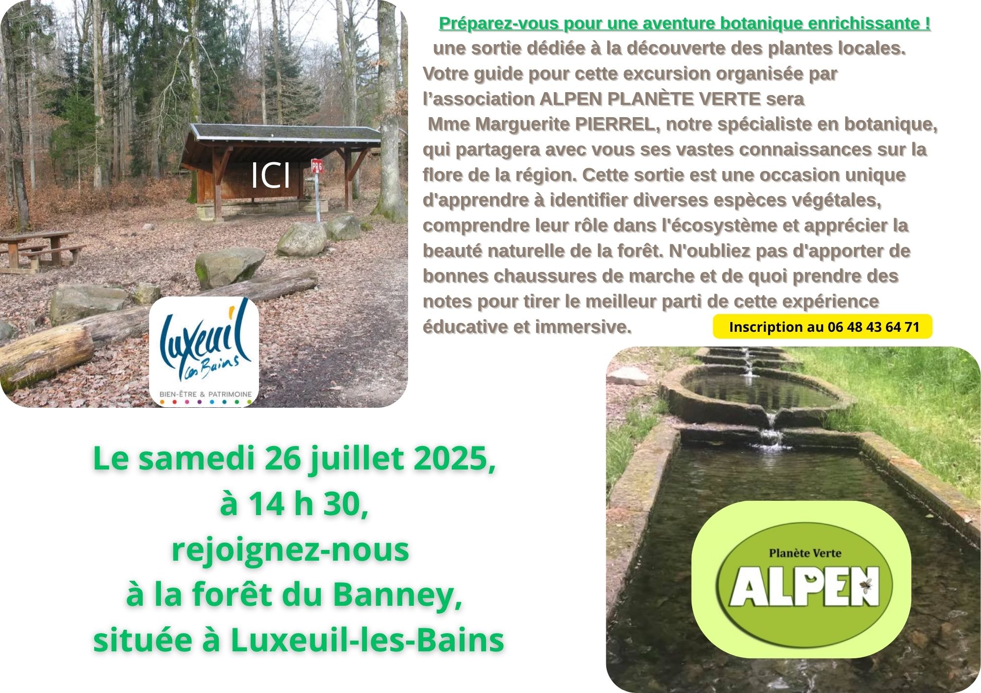 Sortie plantes locales