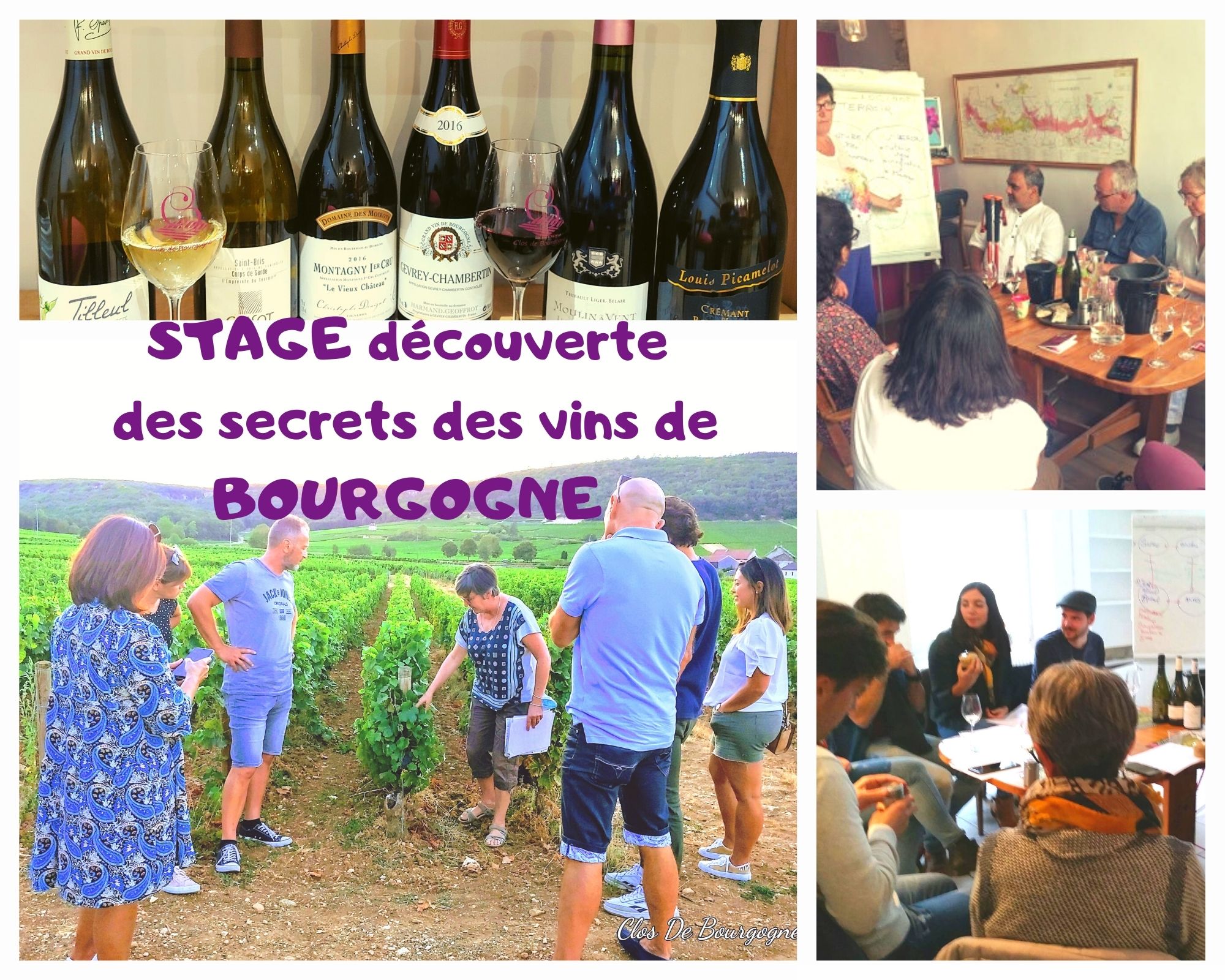 Stage découverte des secrets des vins de bourgogne Gevrey-Chambertin