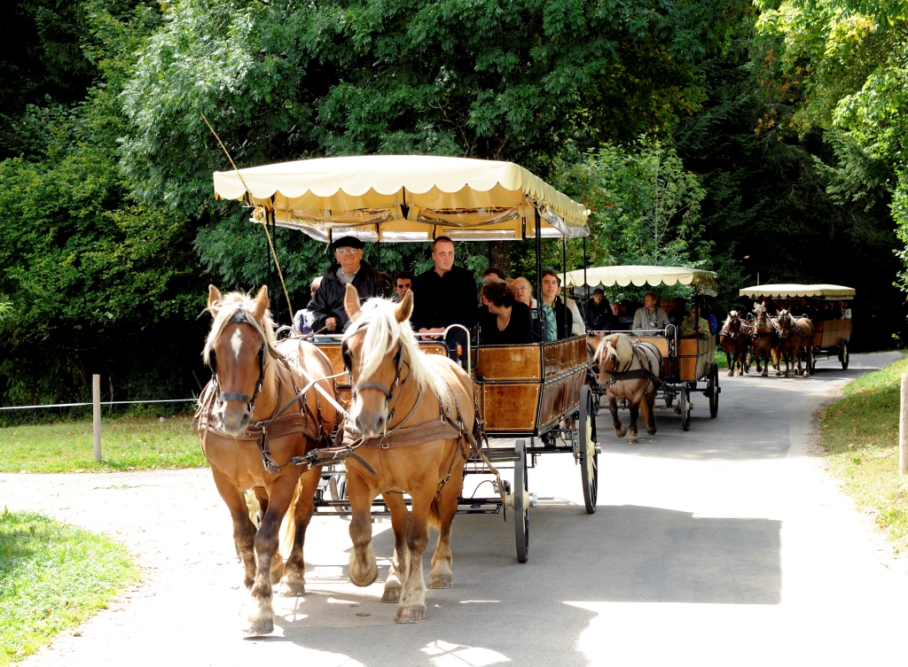 Les Calèches du Saut du Doubs