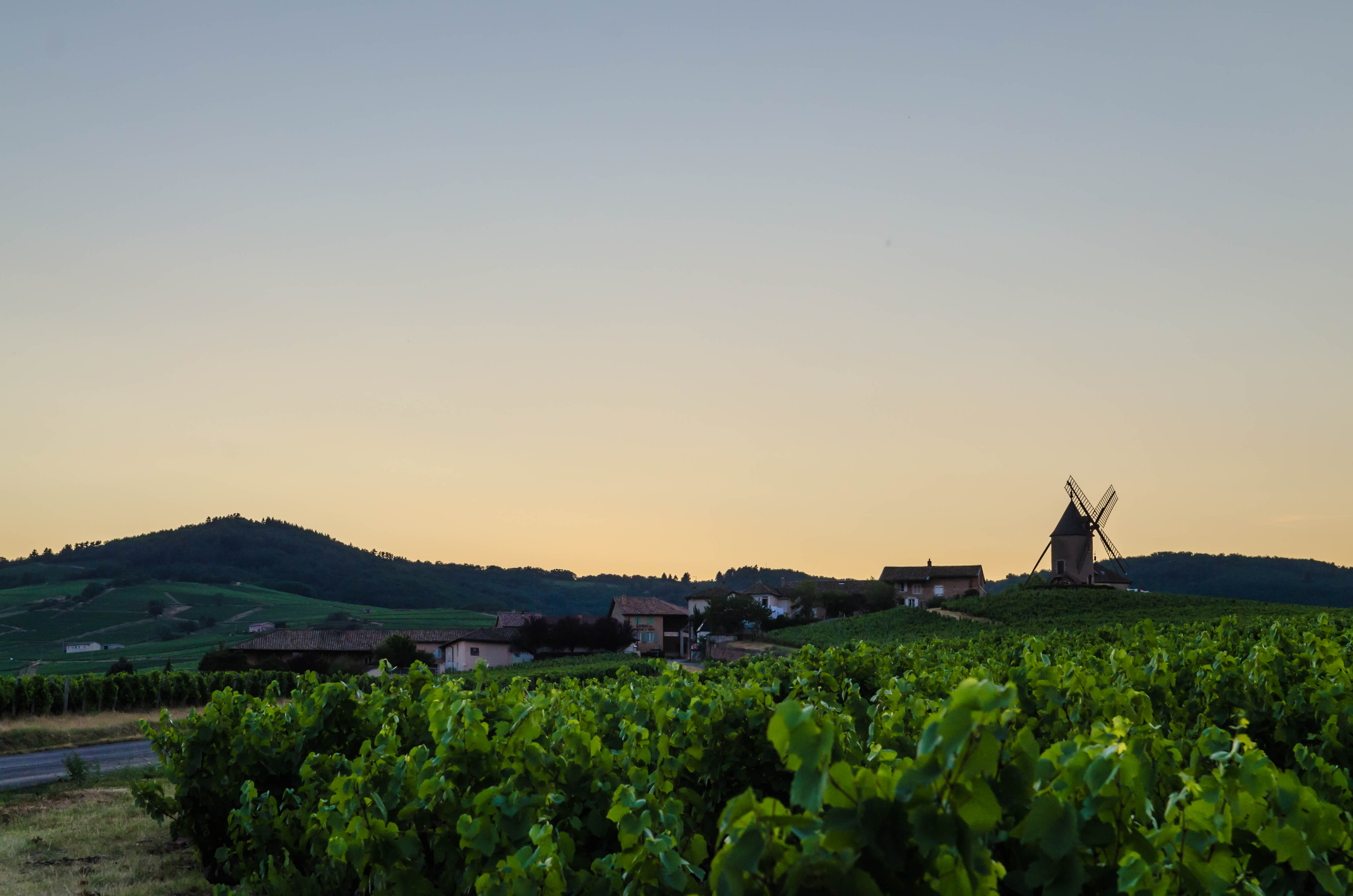 Le Moulin à Vent, Romanèche-Thorins
