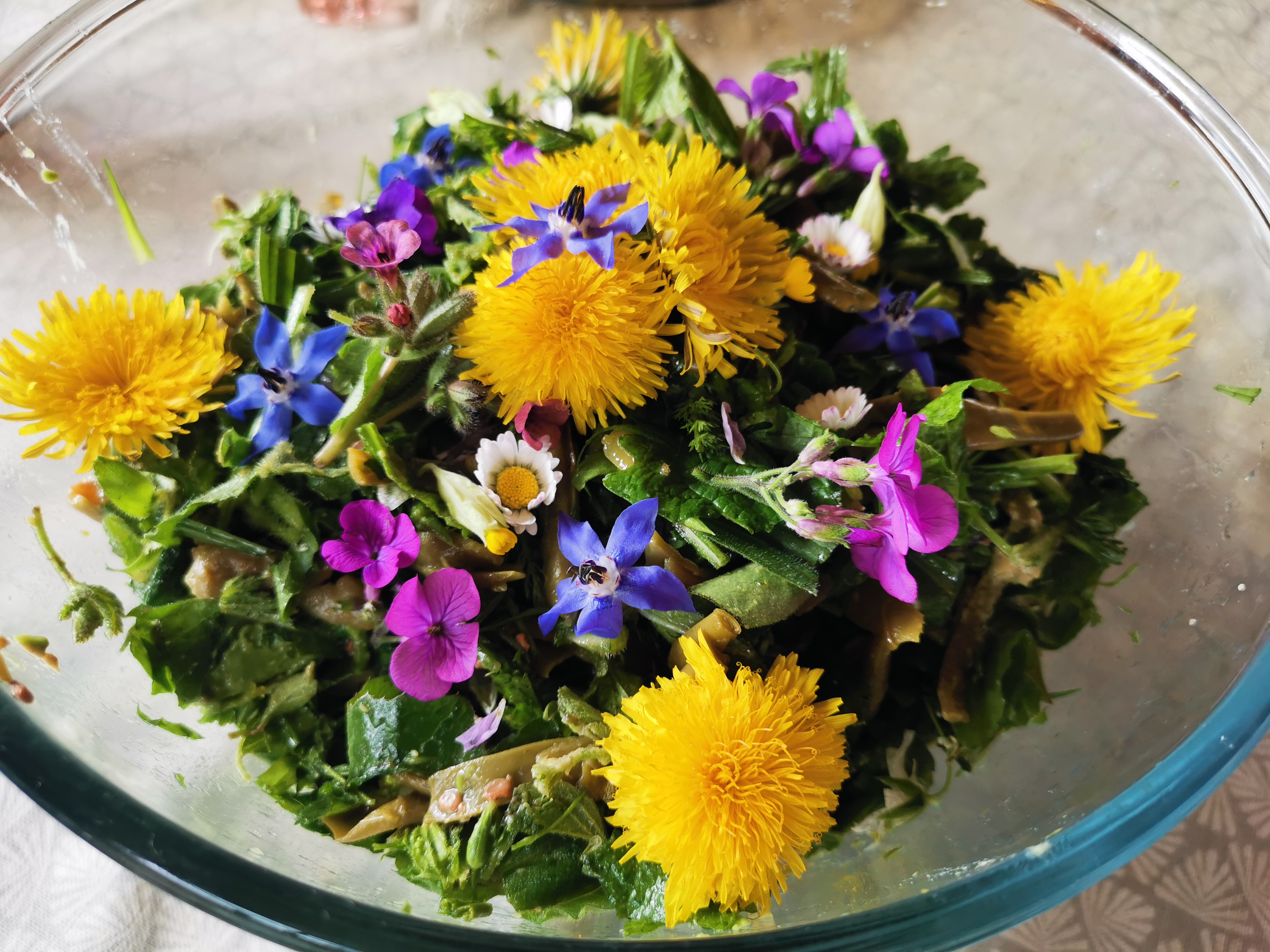 Salade sauvage au jardin