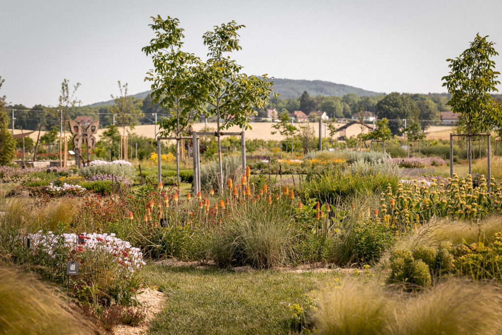 Atelier: La découverte des écosystèmes du Doubs à la Saline royale