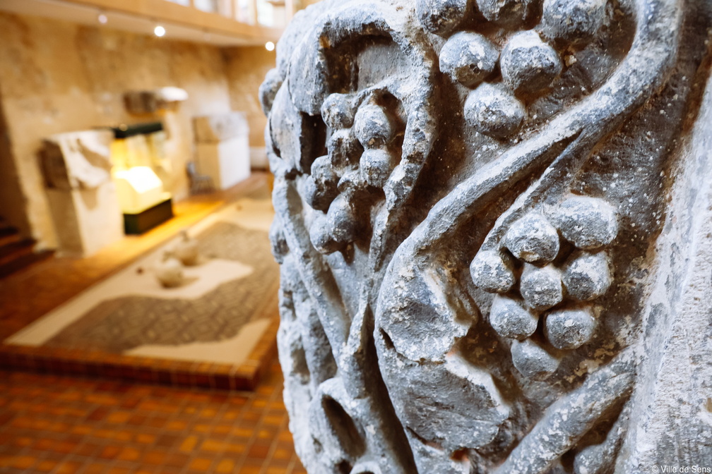 Visite guidée : "Le végétal : sacrés symboles et symboles sacrés"