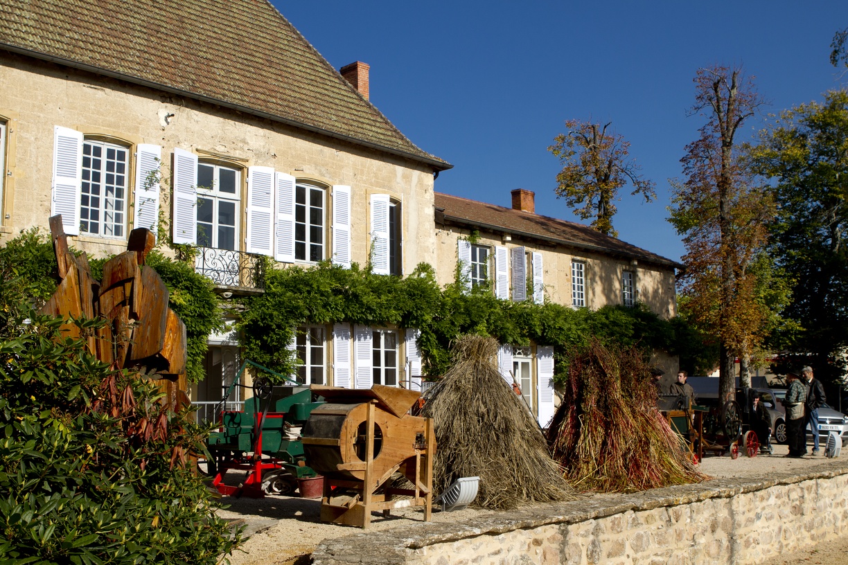 Saveurs d'Automne 