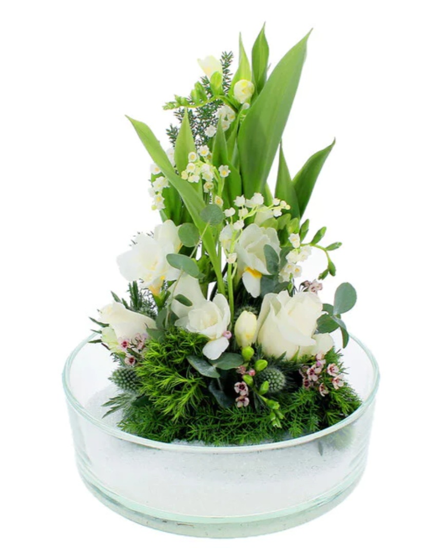 Screenshot_20241215_205258_Samsung Internet