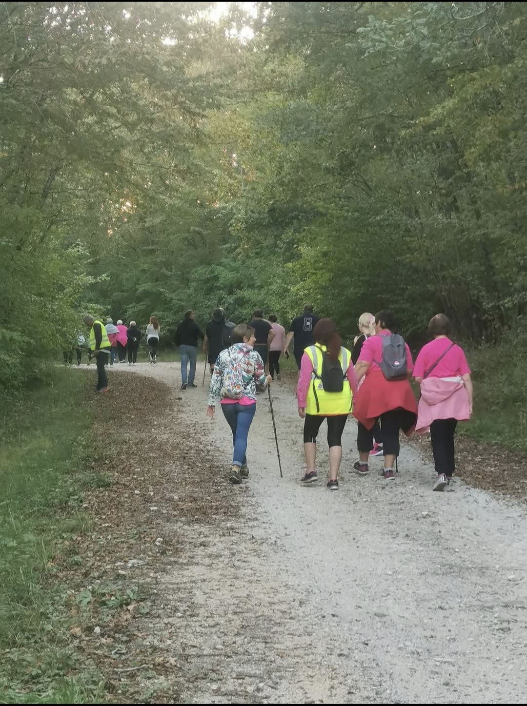 Marche Rose La Chaume