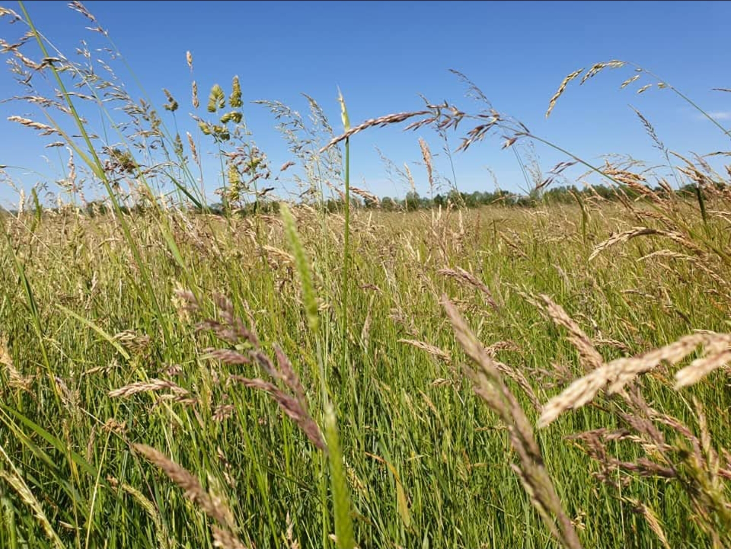 Agriculture et environnement, visite d'une parcelle agricole respectueuse de l'environnement