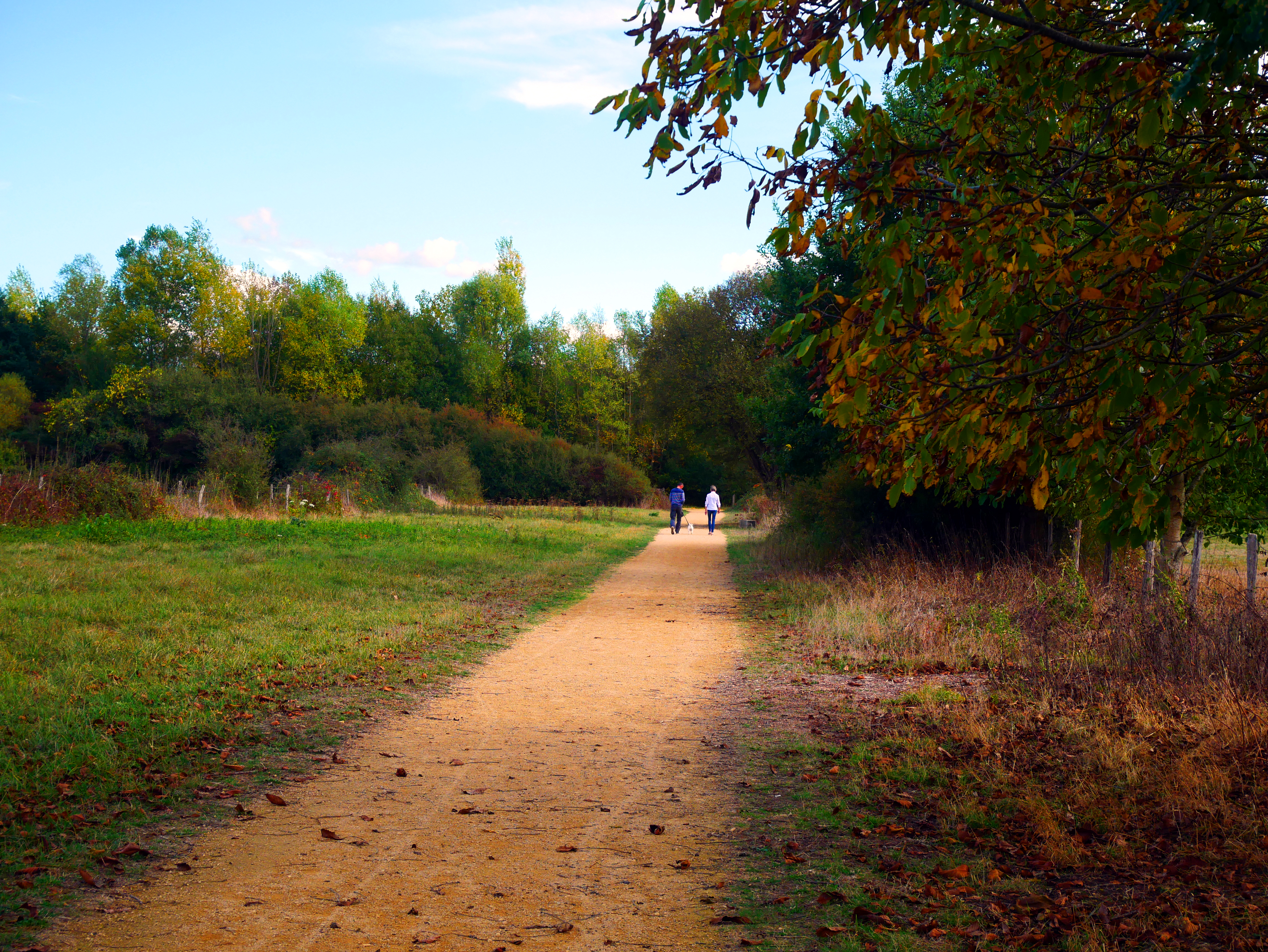 Parc Rosa Bonheur, Nevers - photo 5