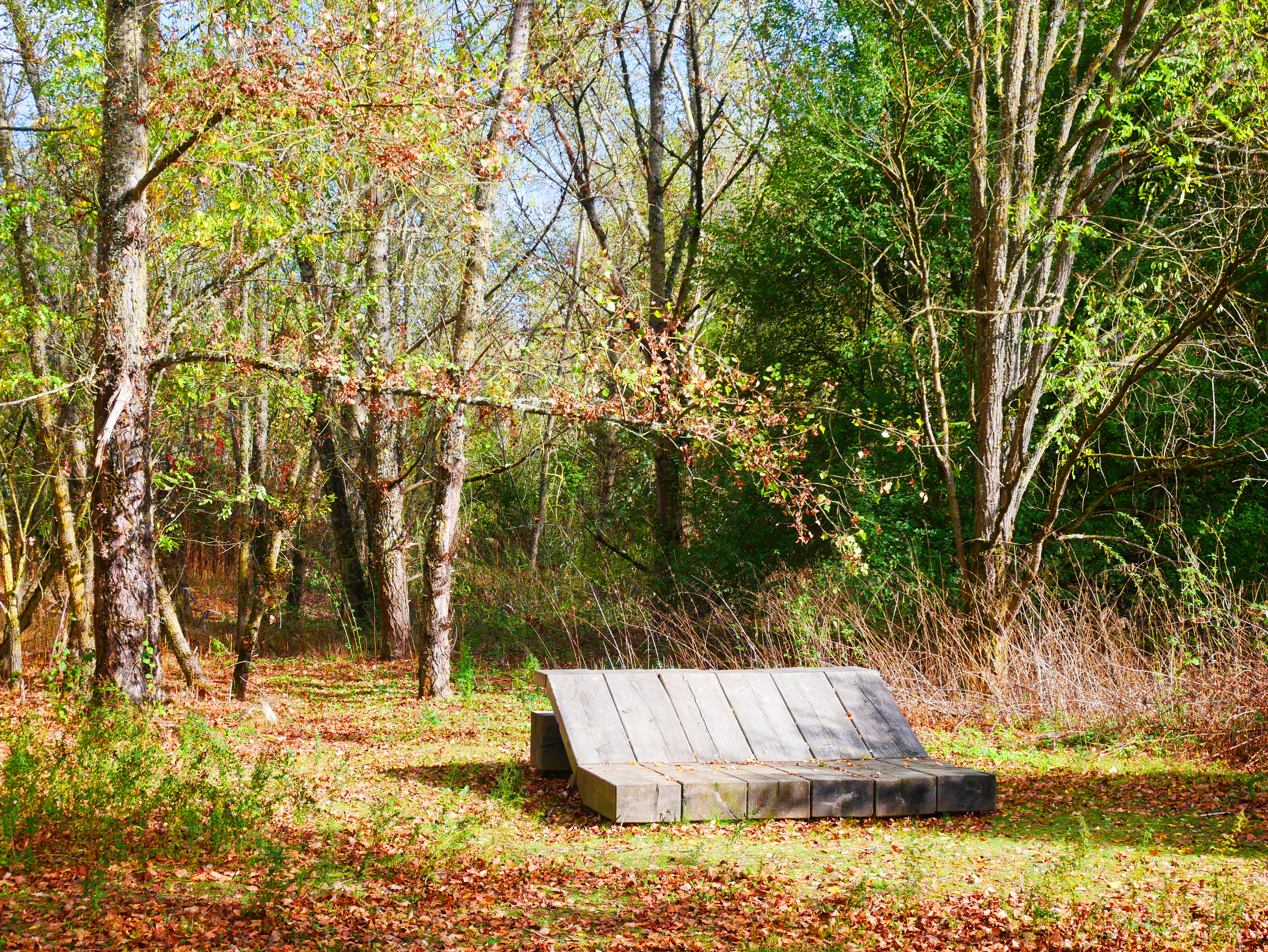 Parc Rosa Bonheur, Nevers - photo 4