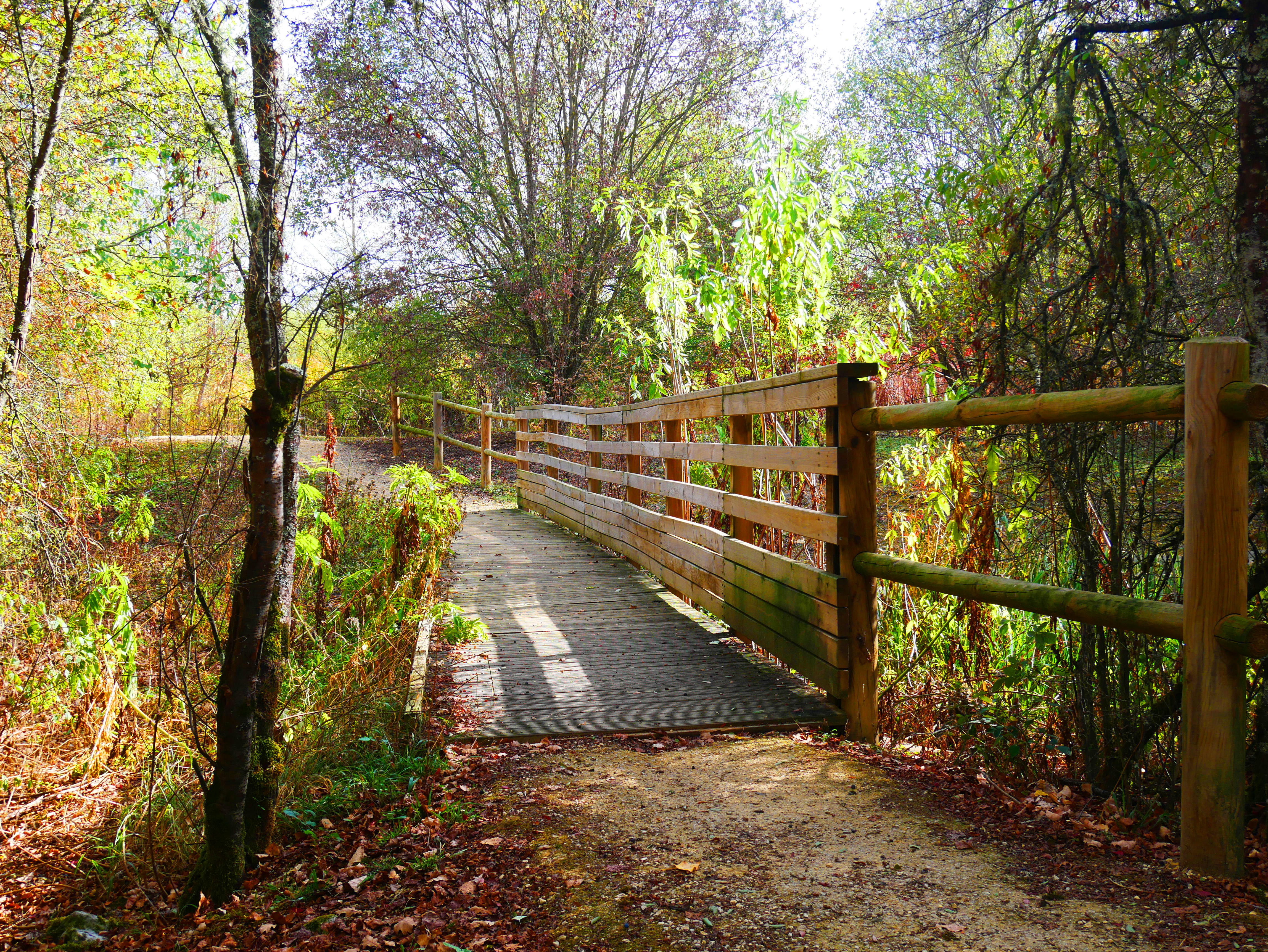 Parc Rosa Bonheur, Nevers