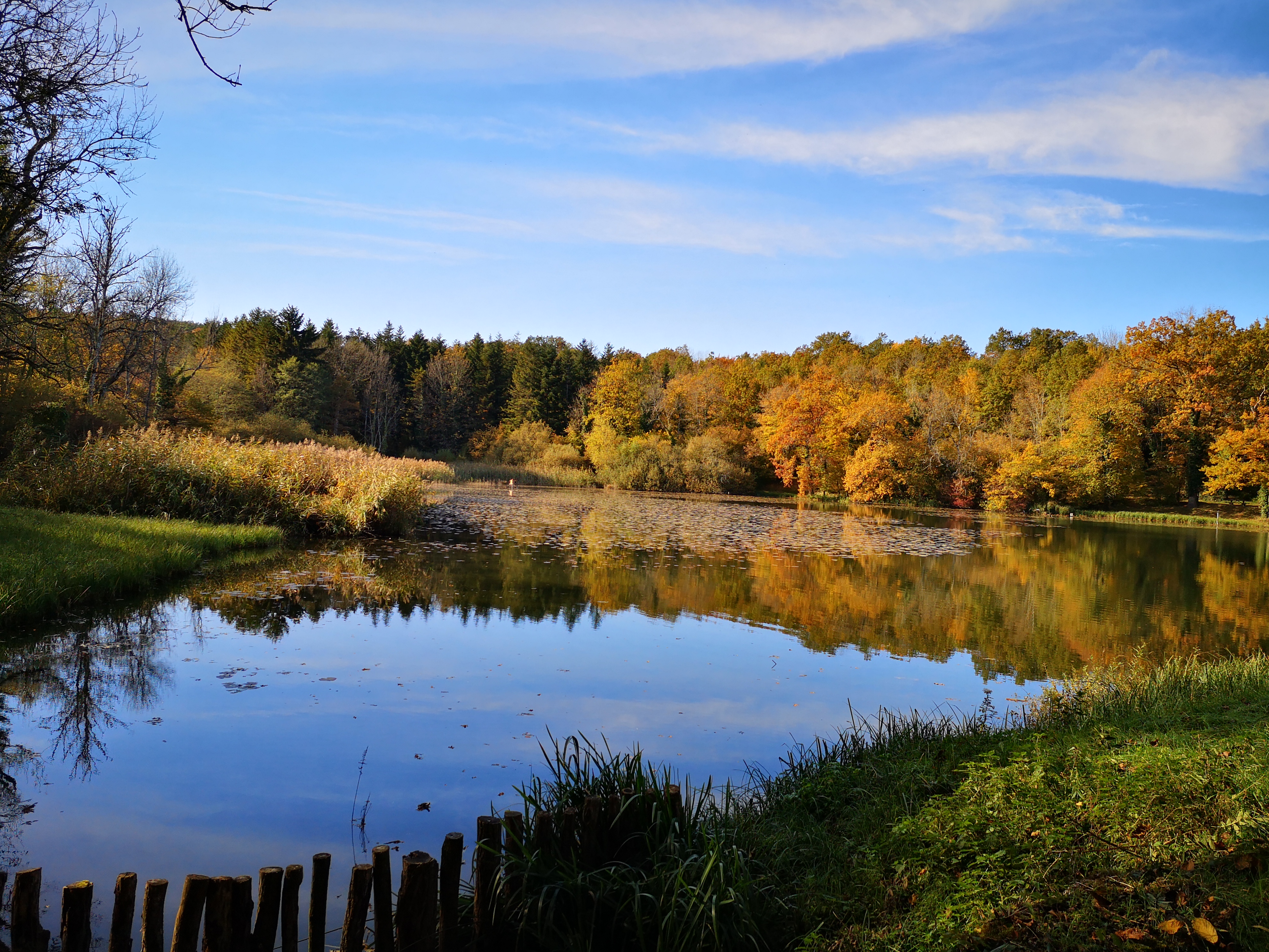 Visite nocturne Ermitage de l'Etang de Sainte-Barbe avec la Société Naturaliste du Montbardois