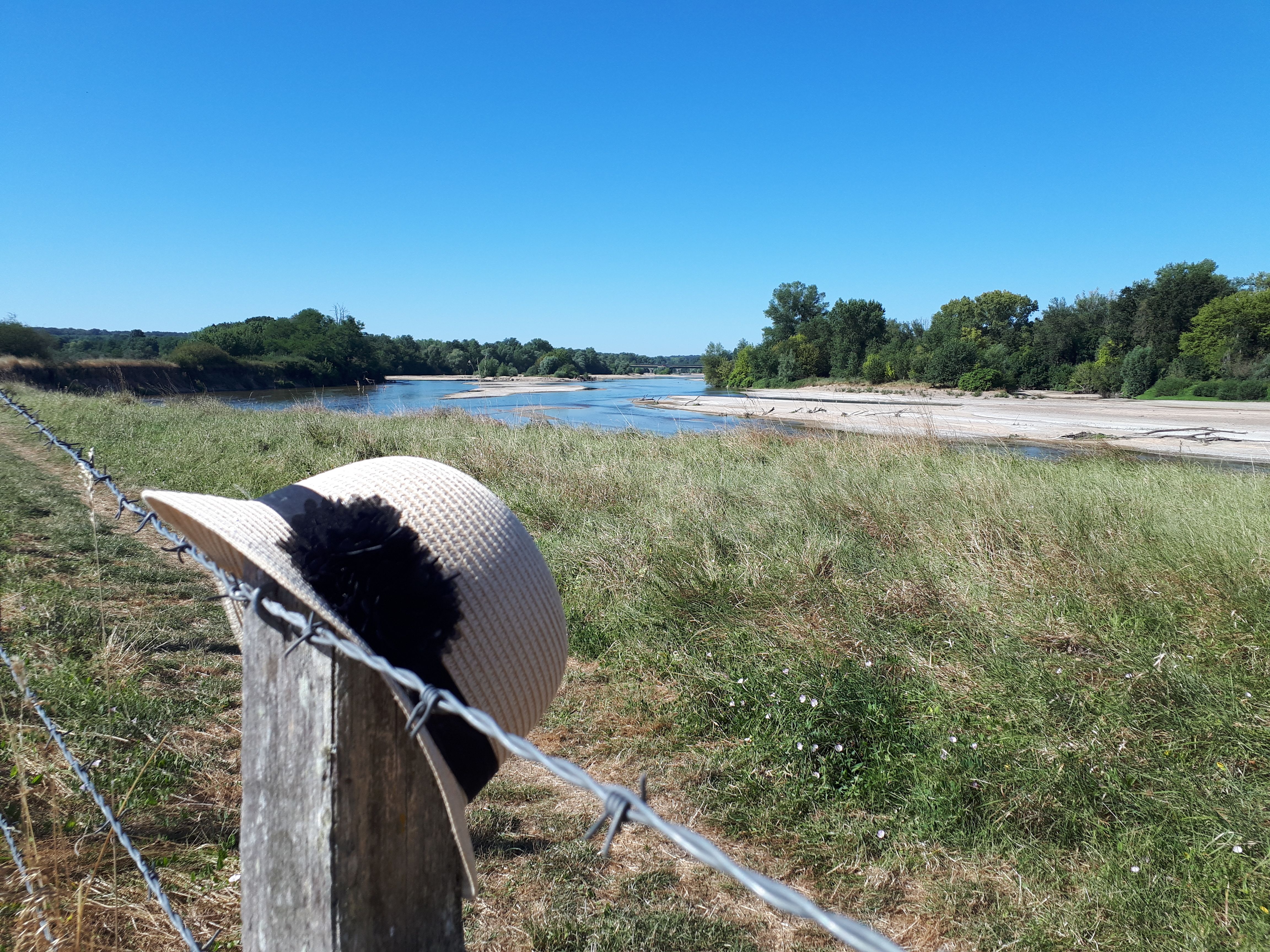 Balade famille : Sentier de découverte du Passeur du Bec d'Allier, Gimouille - photo 7