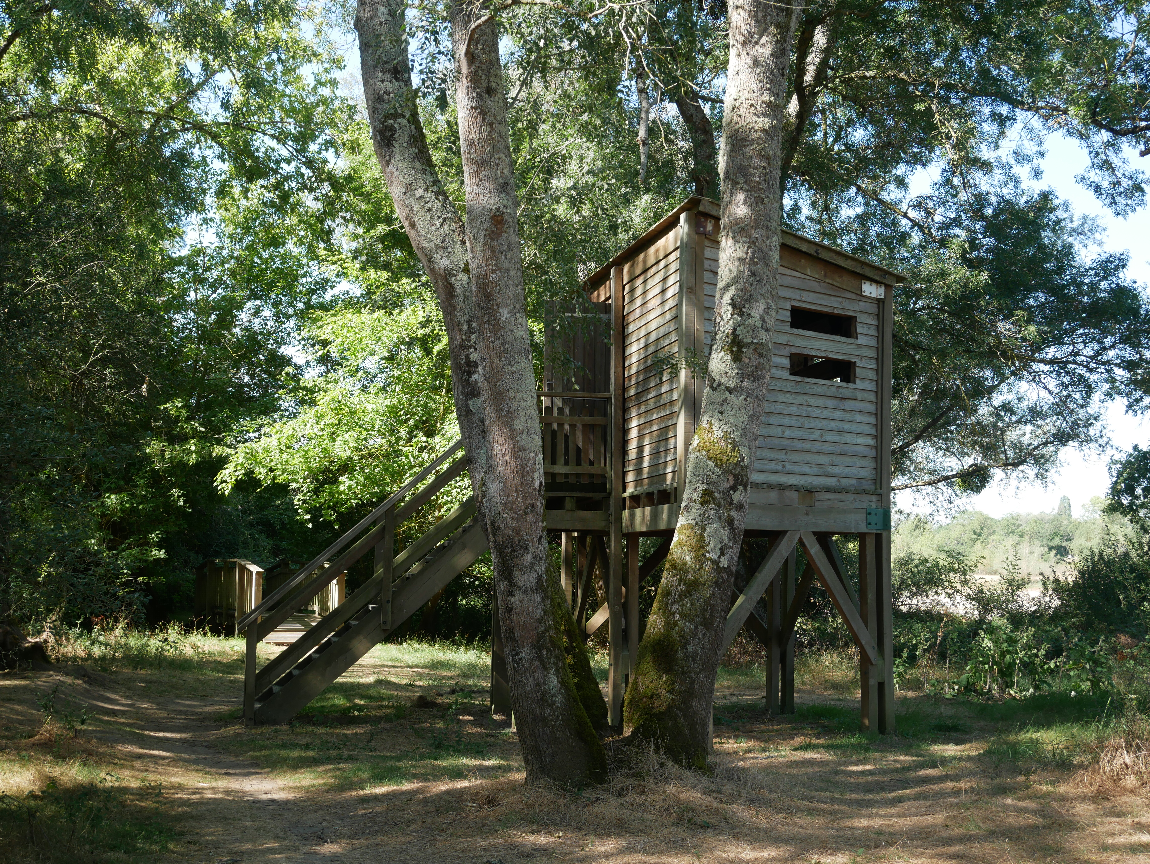 Balade famille : Sentier de découverte du Passeur du Bec d'Allier