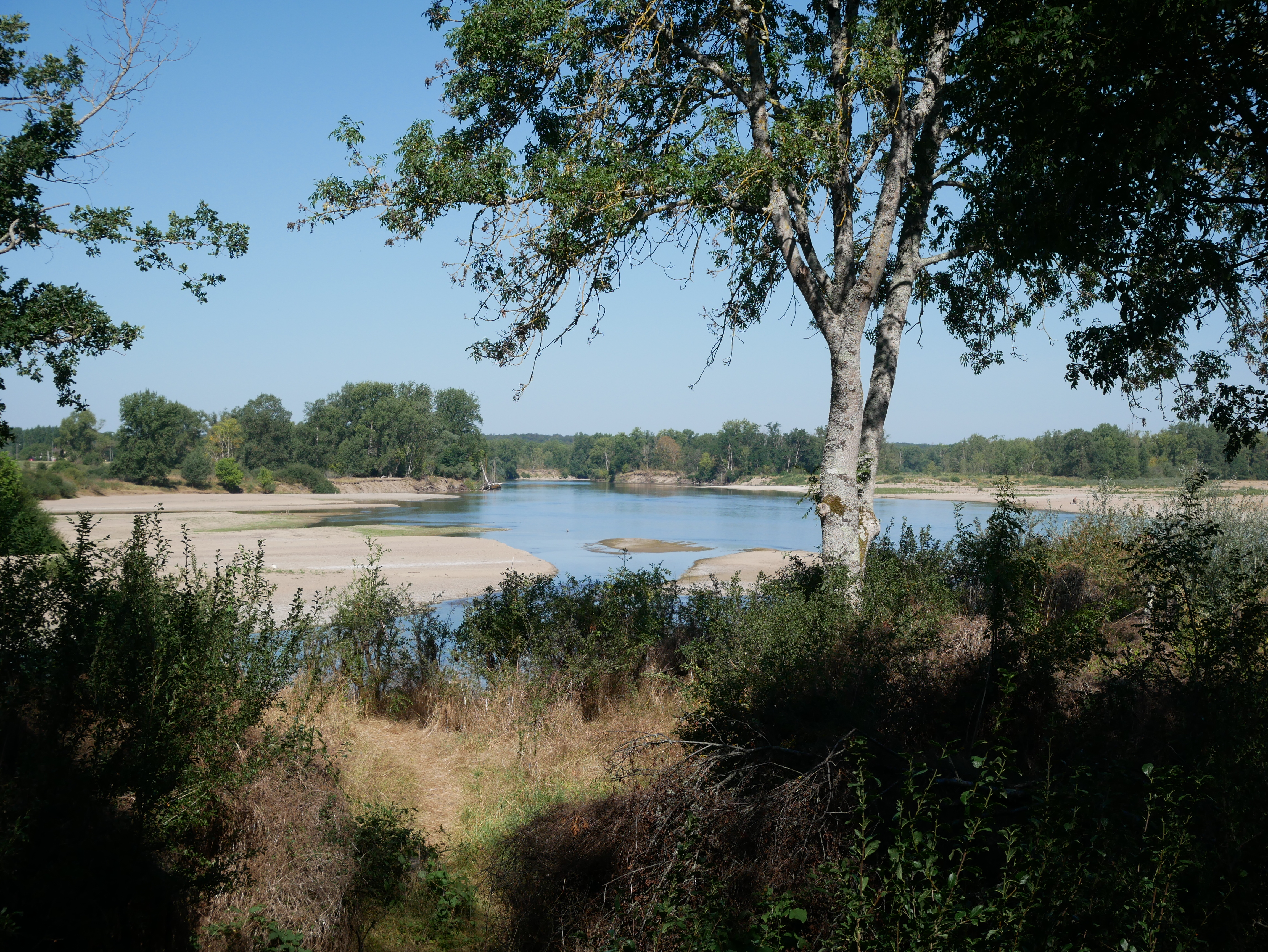 Balade famille : Sentier de découverte du Passeur du Bec d'Allier, Gimouille - photo 6