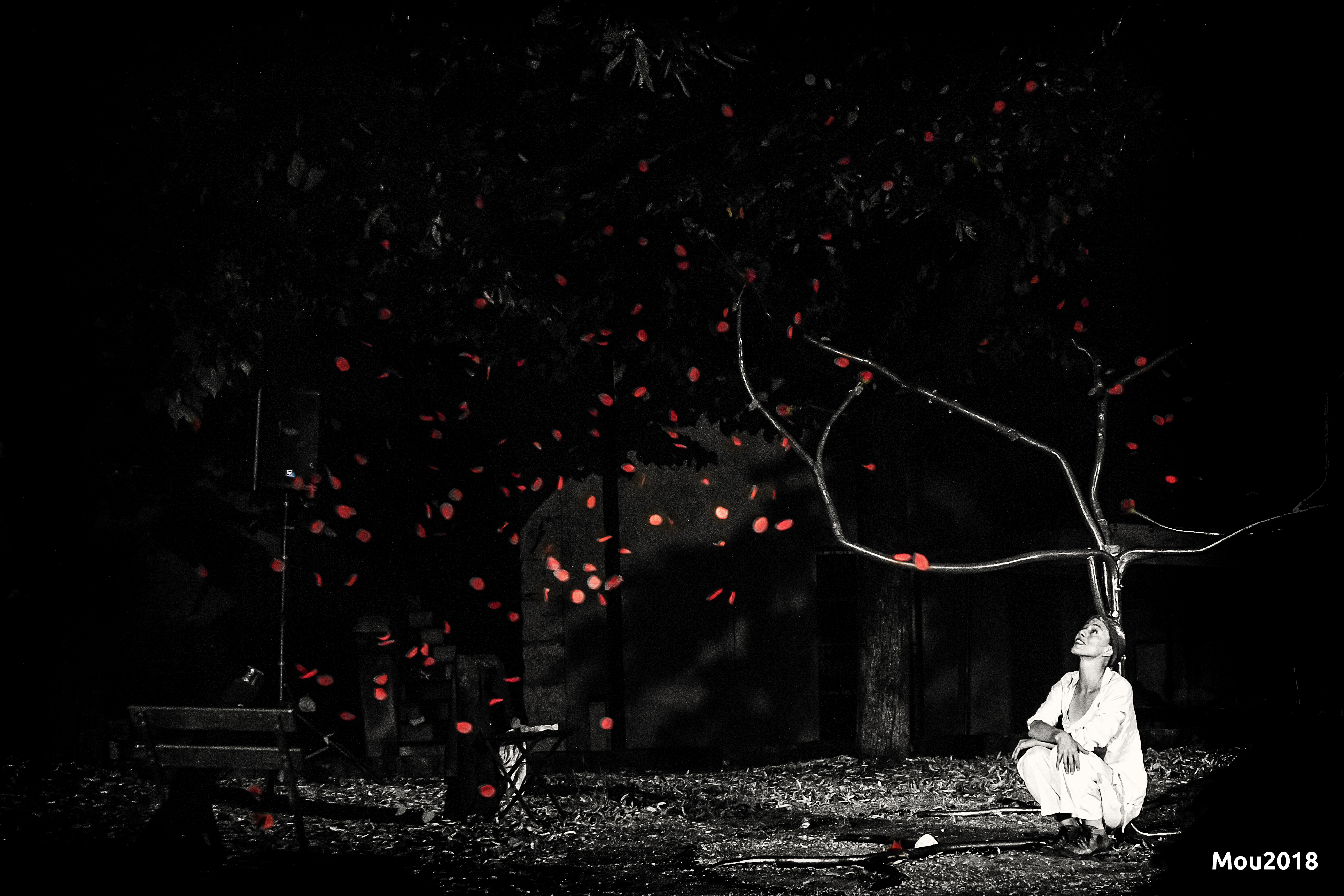 Silencis