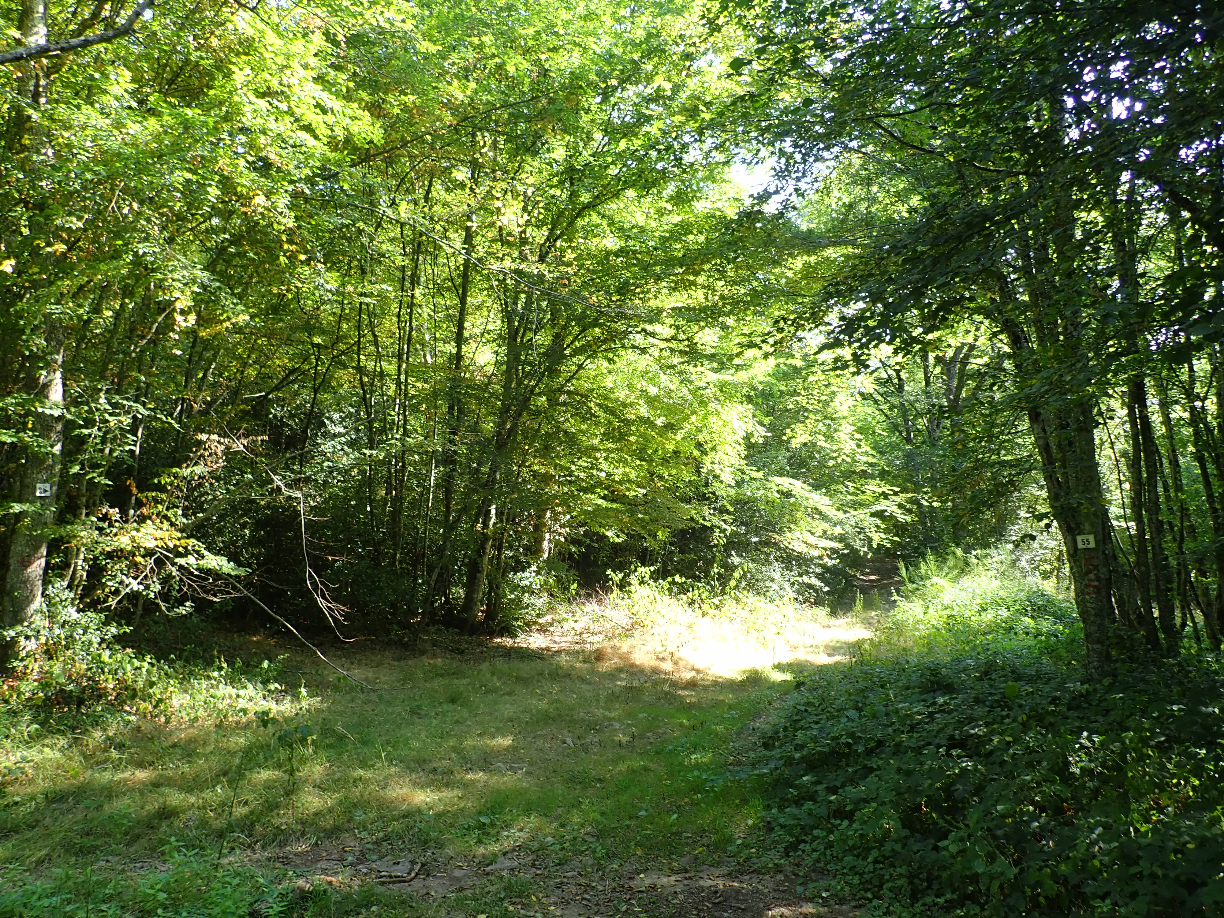 Balade nature & biodiversité