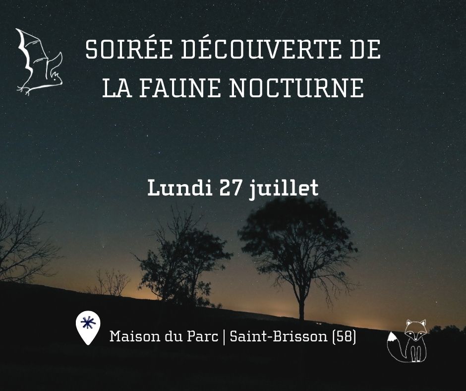 Découverte de la faune nocturne à la Maison du Parc