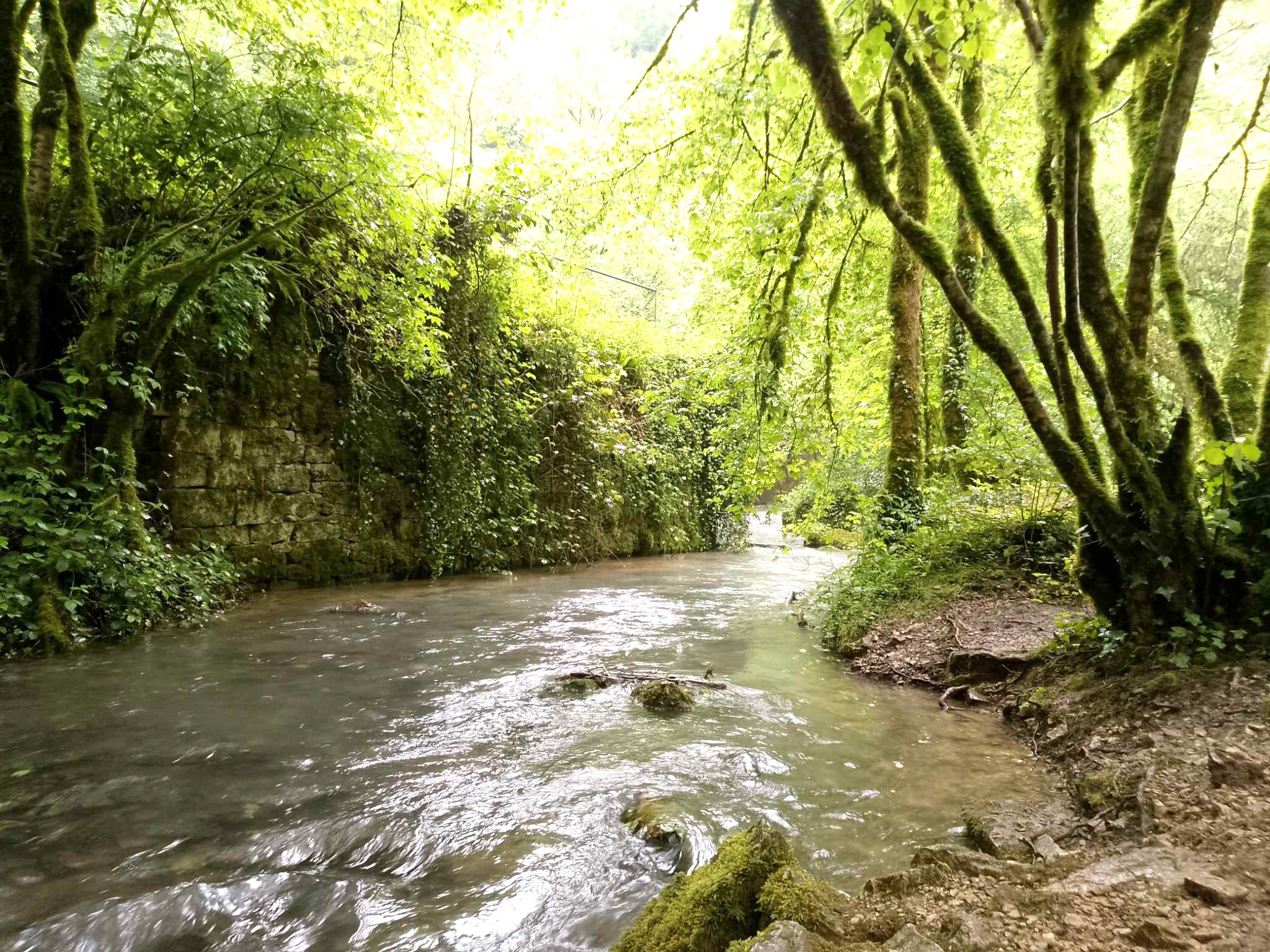 Sophro balade Source du Lison ©  Angélique Cocquard (1)