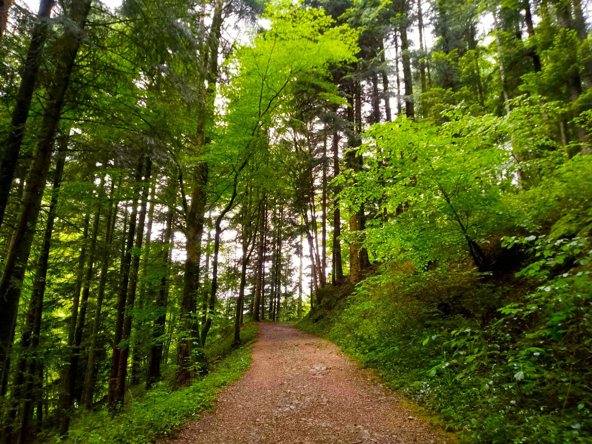 Sophro balade Source du Lison ©  Angélique Cocquard (6)