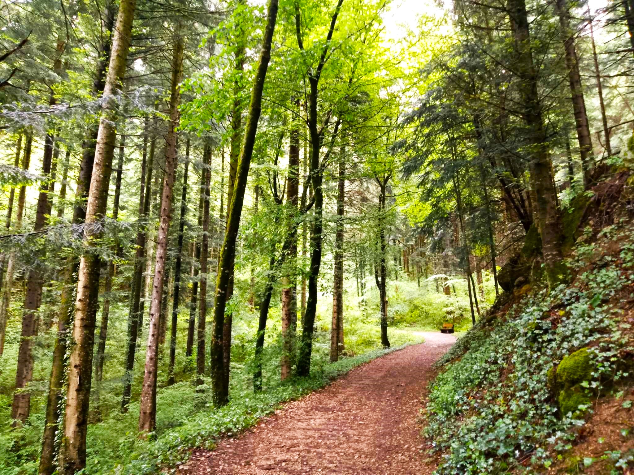 Sophro balade Source du Lison ©  Angélique Cocquard (7)