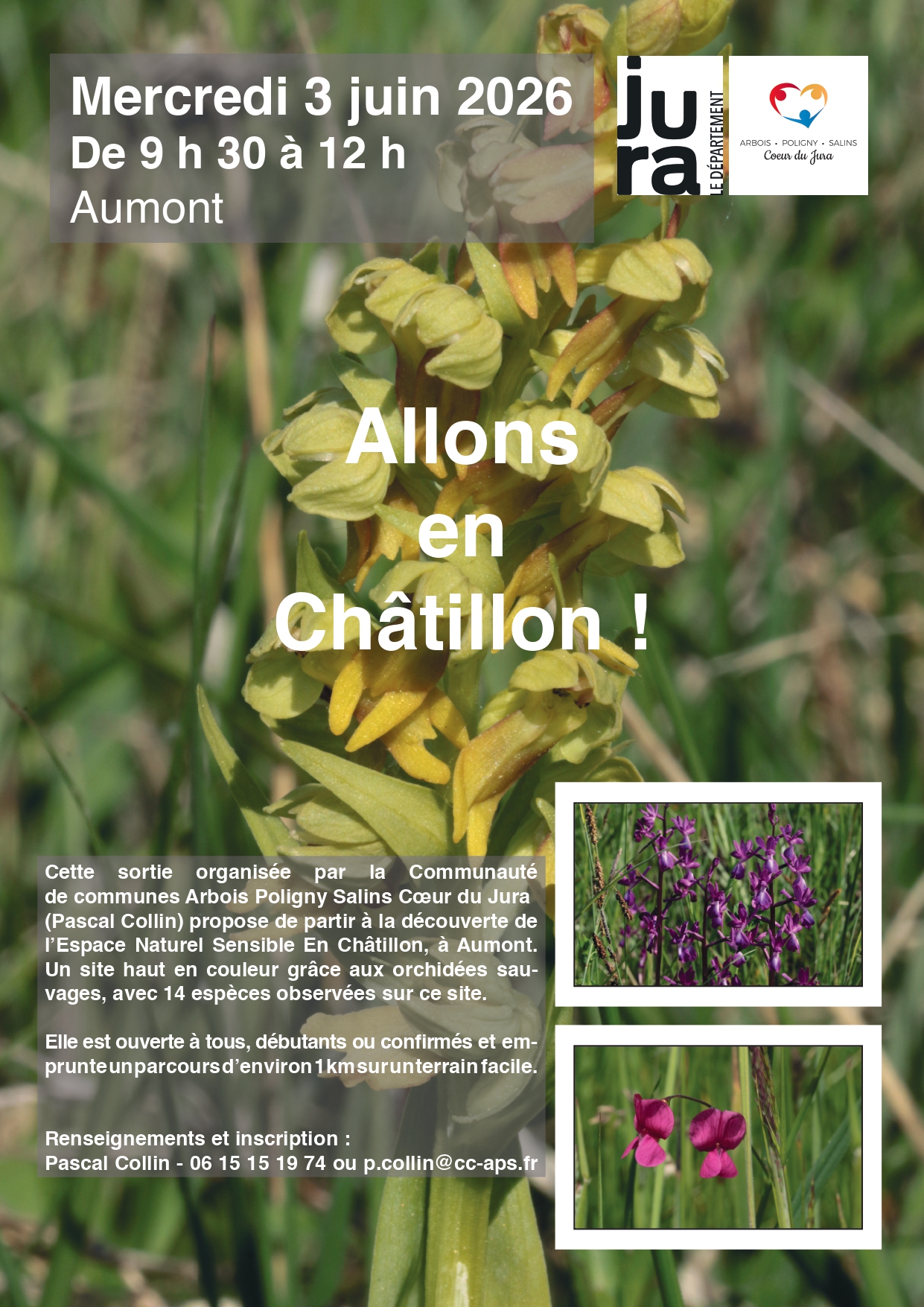 Allons en Châtillon !