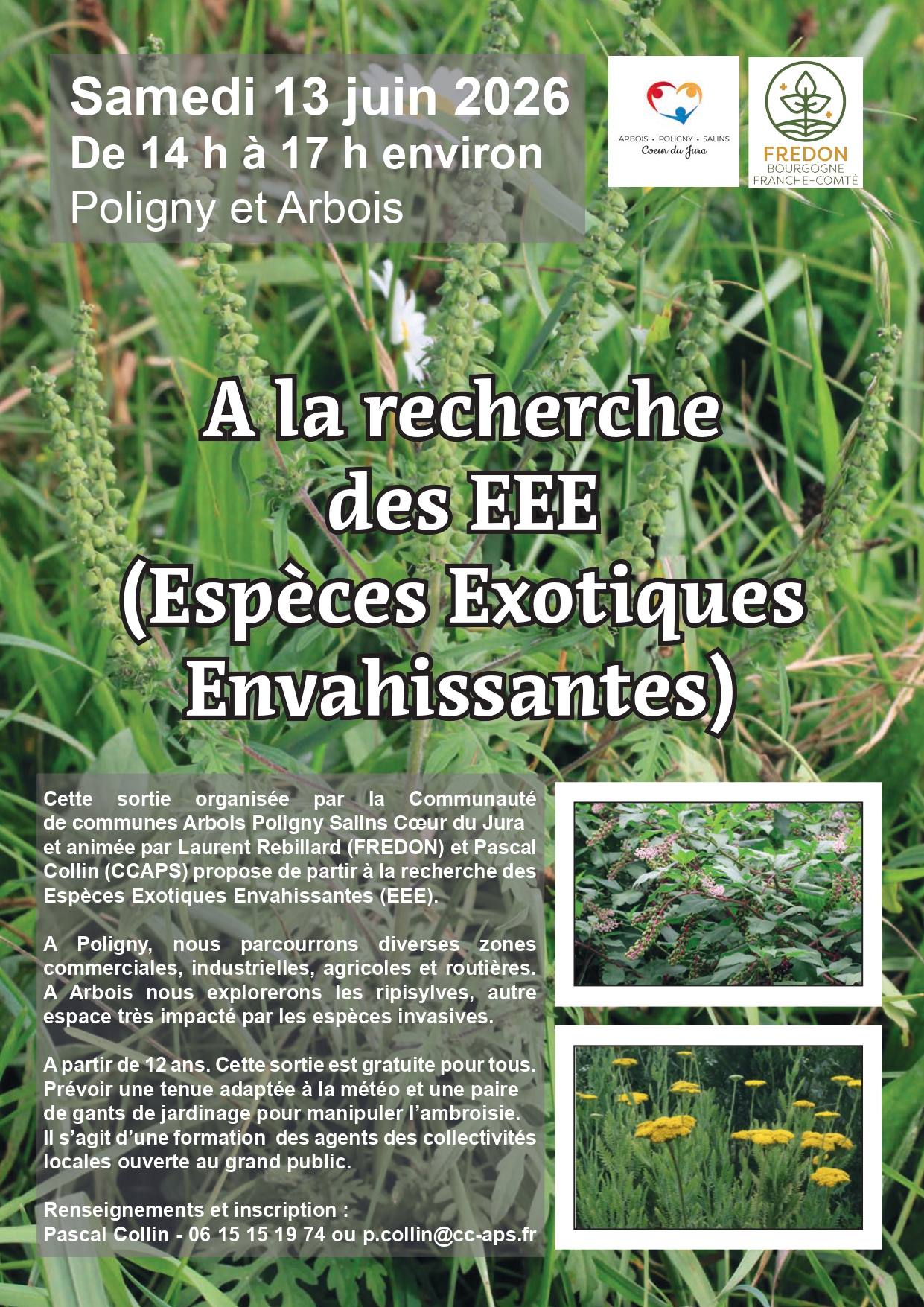 A la recherche des EEE