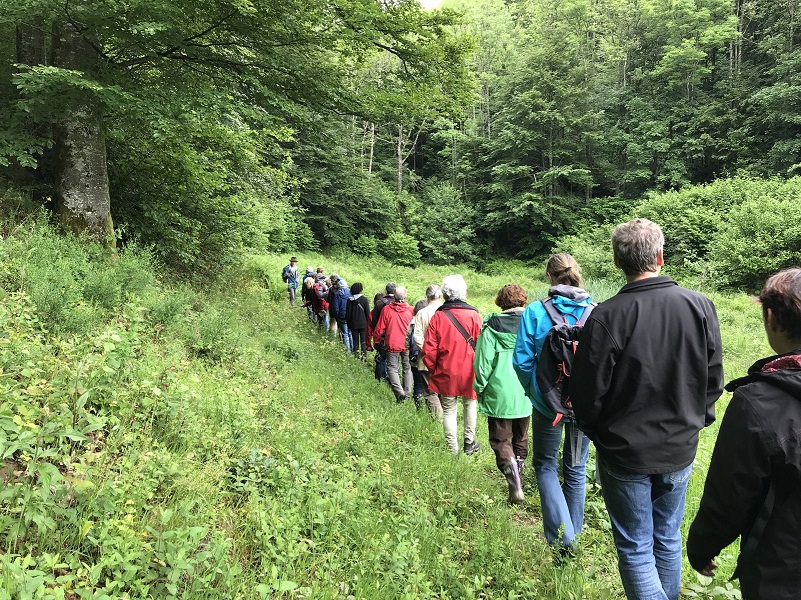 Sortie La biodiversité de Auxelles-Haut © Denis Bringard