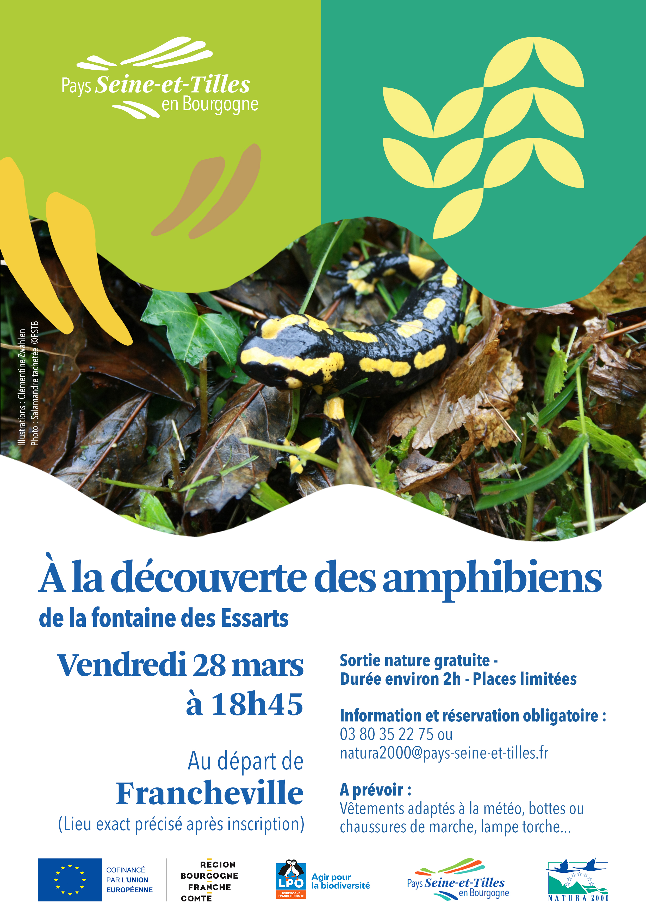 Sortie amphibiens_Affiche_VF_jpg