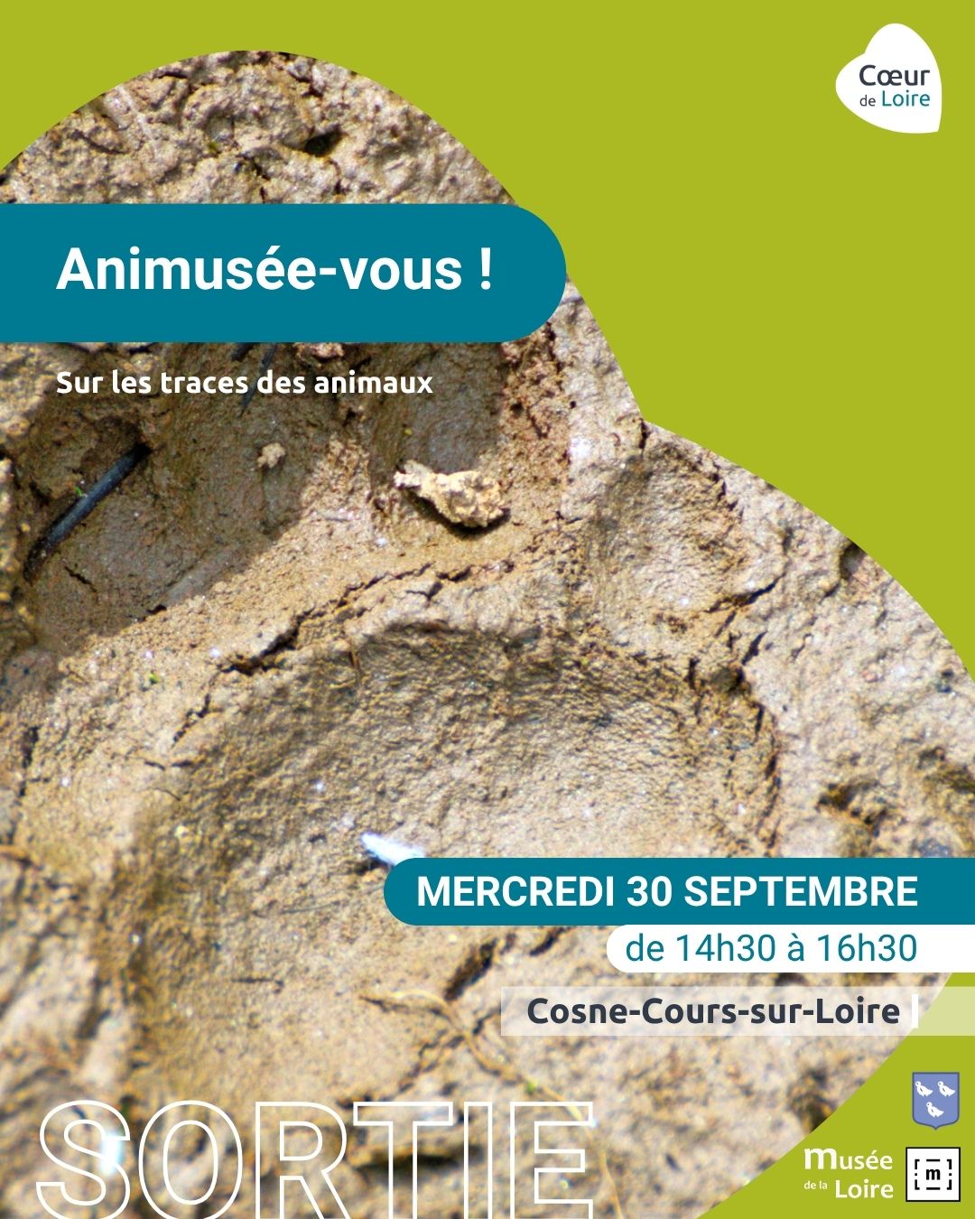 Visite-Sortie "Animusée-vous ! Sur les traces des animaux"