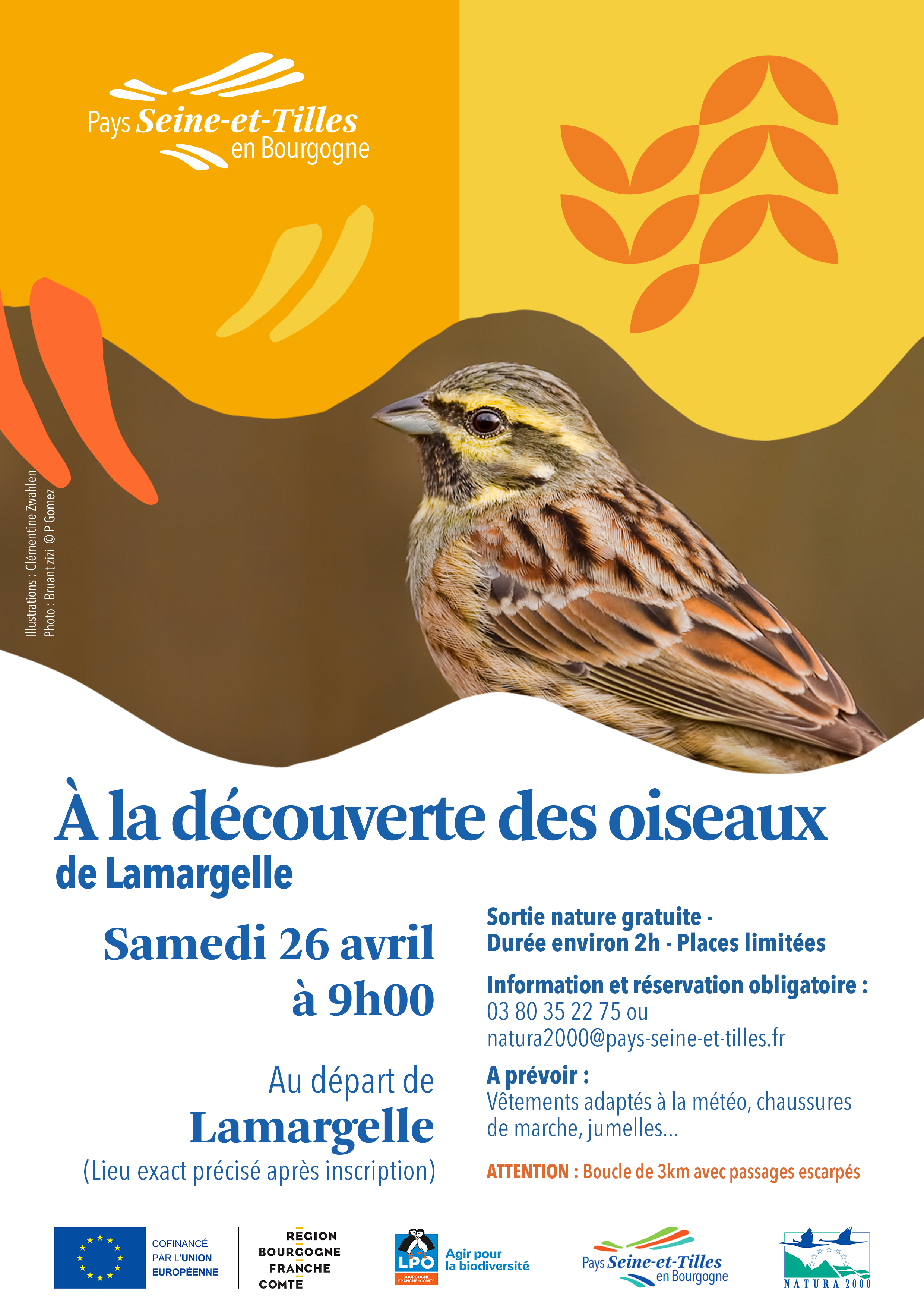 Sortie oiseaux_Lamargelle_Affiche_v3