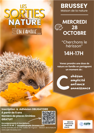 Les sorties nature en famille