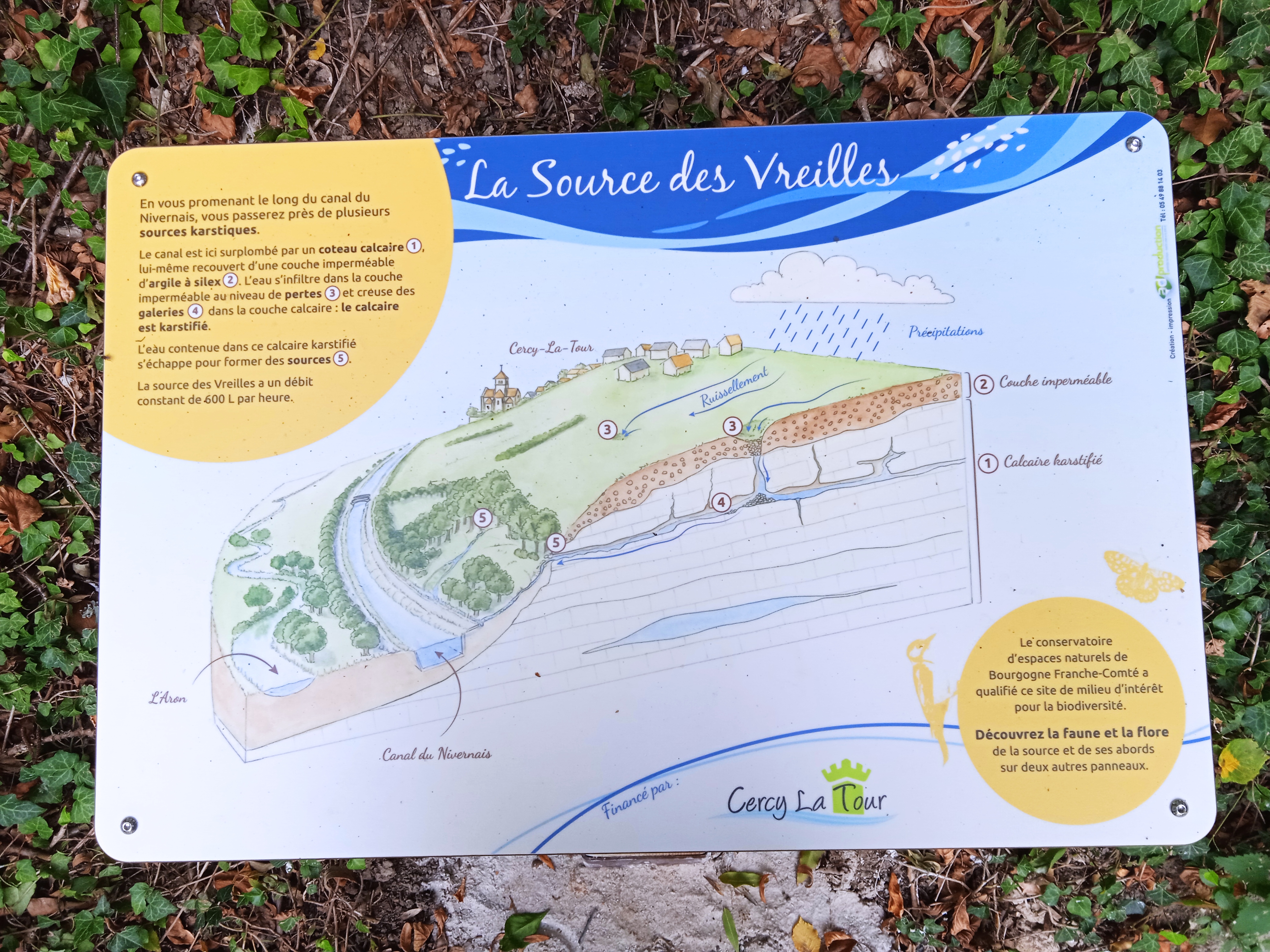 Source des Vreilles, Cercy-la-Tour - photo 3